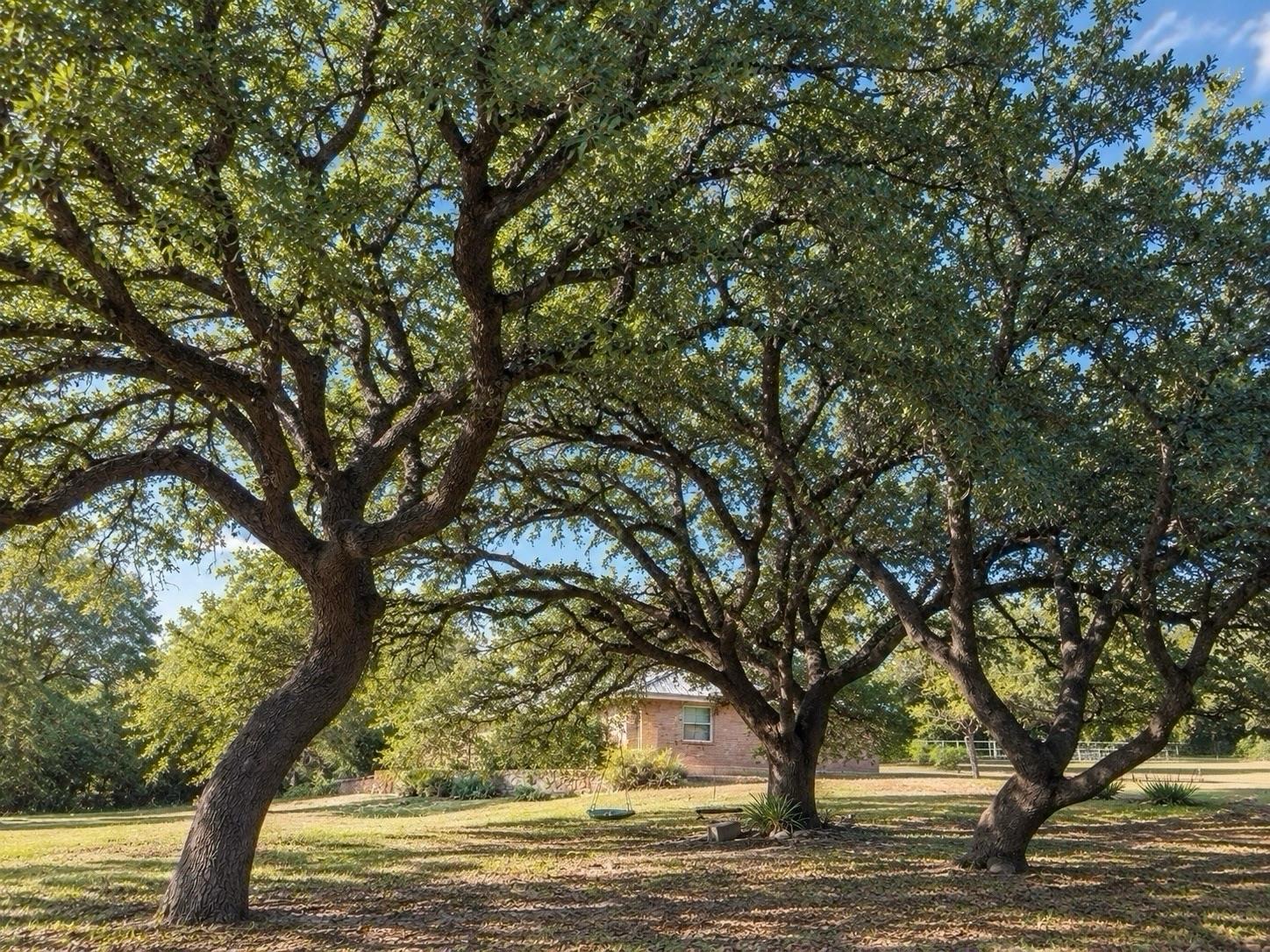 Mature shade trees frame a sprawling lawn surroun
