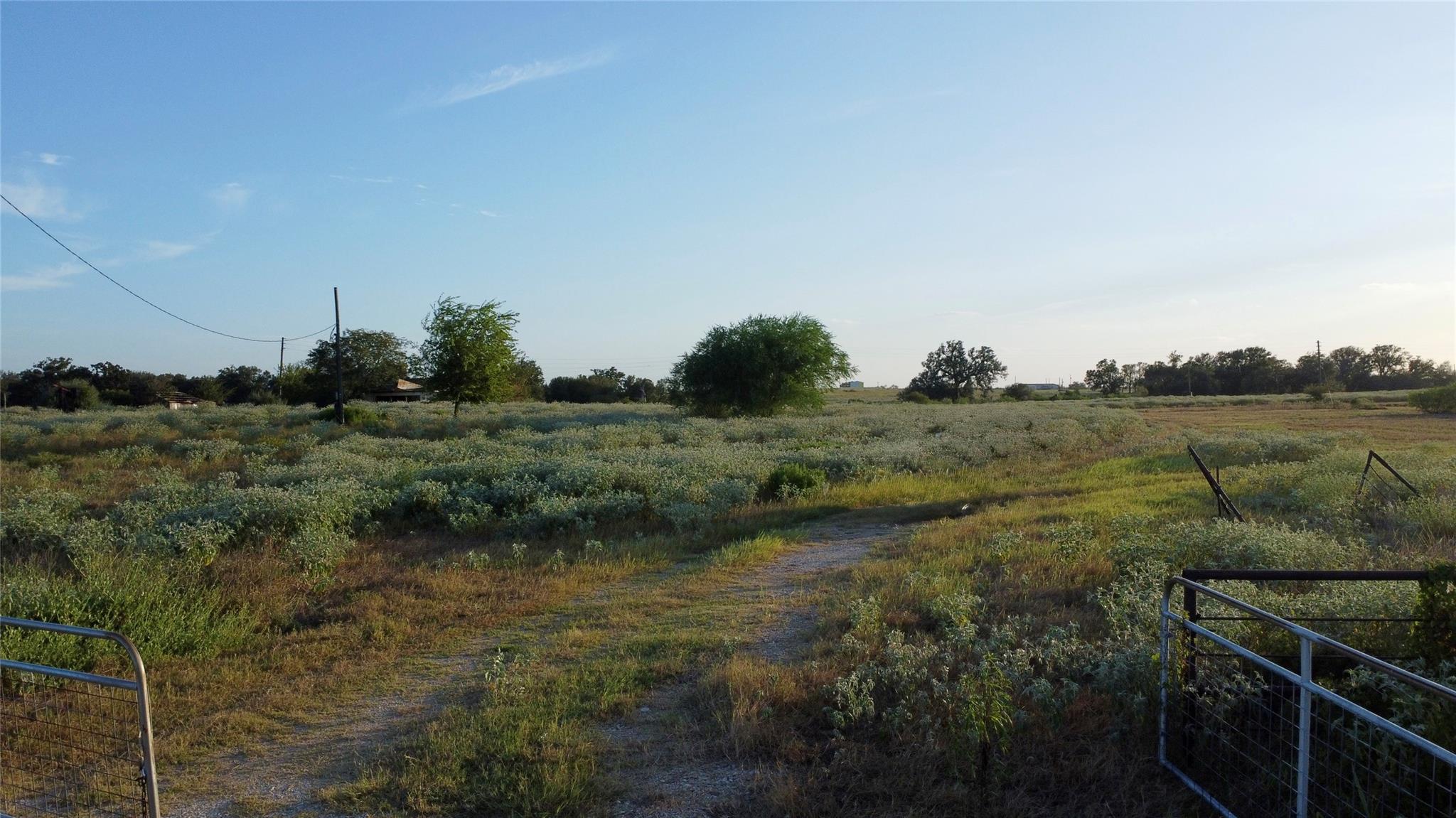 Mature trees and native vegetation span across th