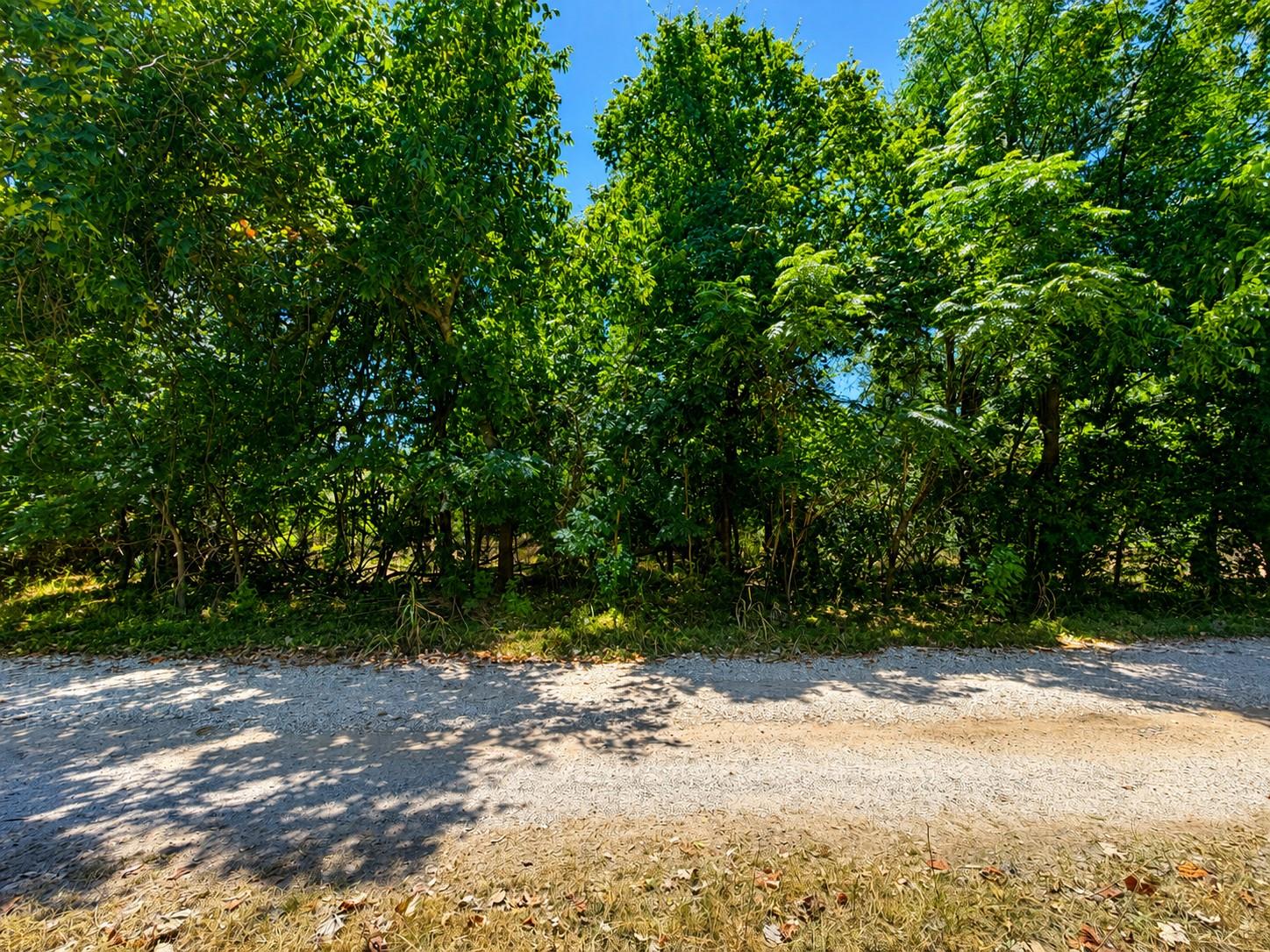 Listing photo 1 of TBD  Buckner Ln