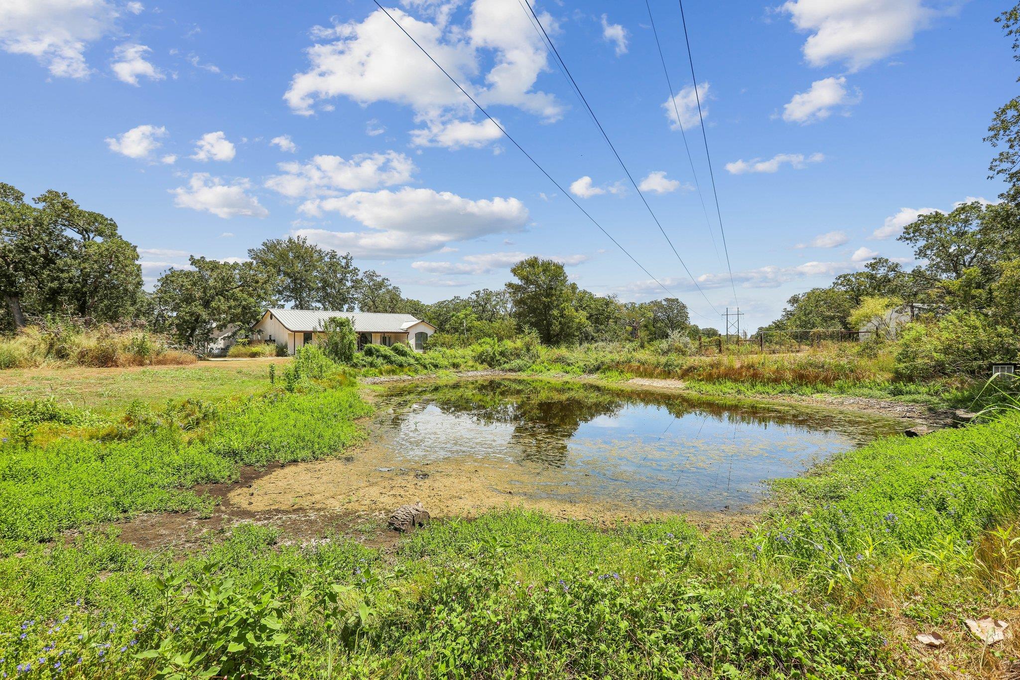 Lush greenery surrounds a natural pond on this ex