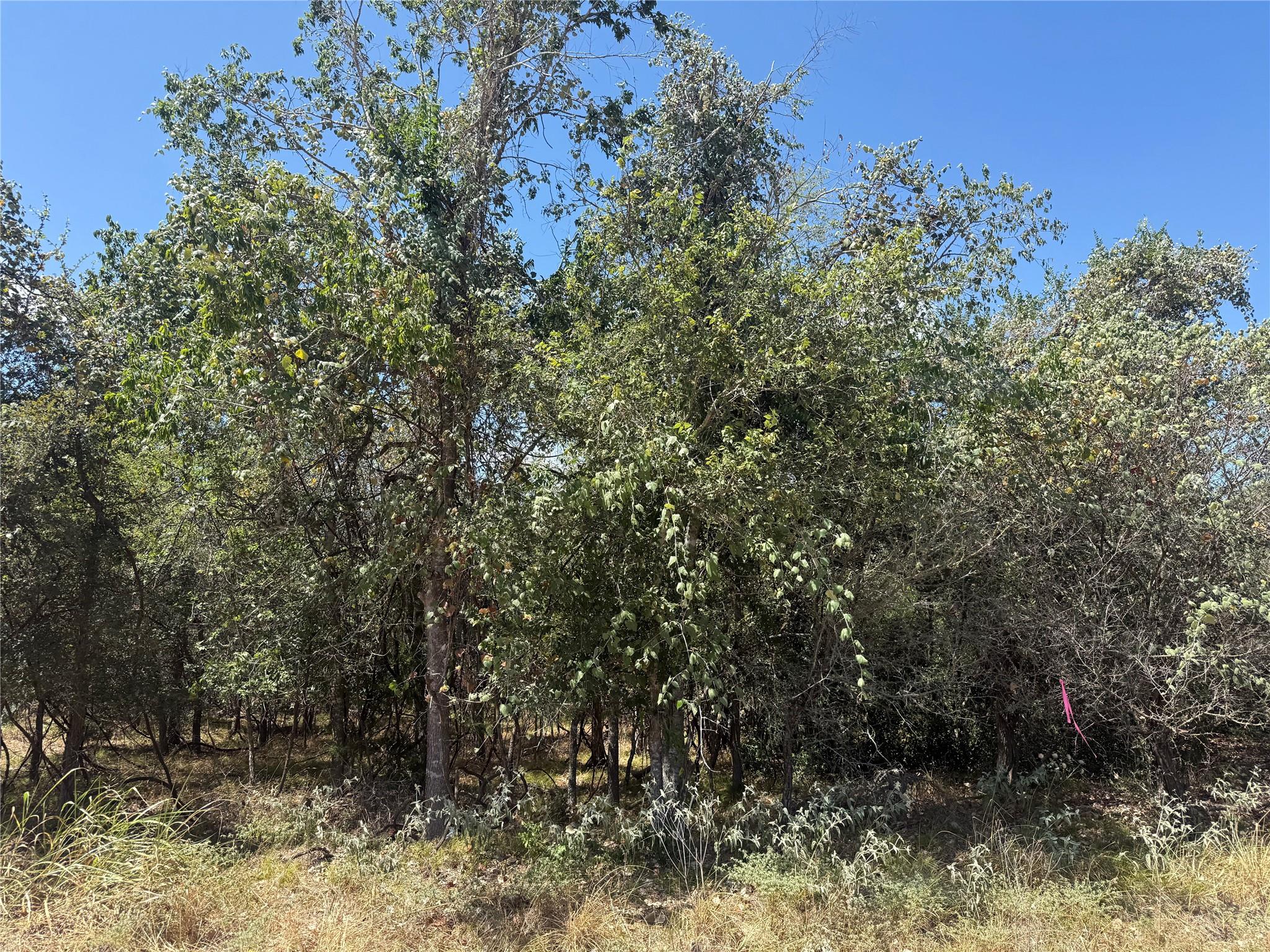 Listing photo 1 of TBD  Kawainui Ln