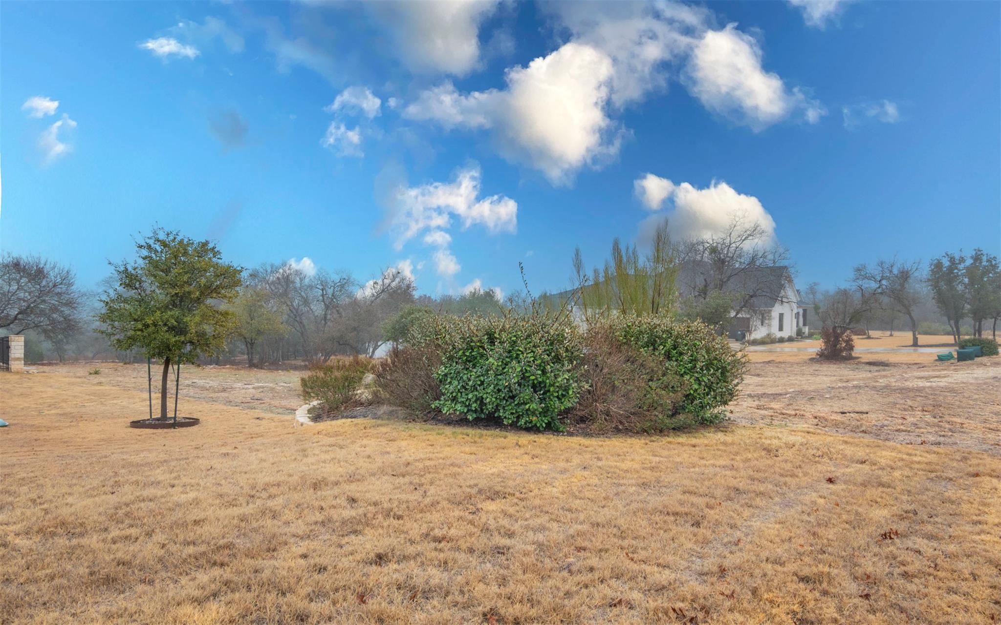 Mature trees and native landscaping frame a spaci