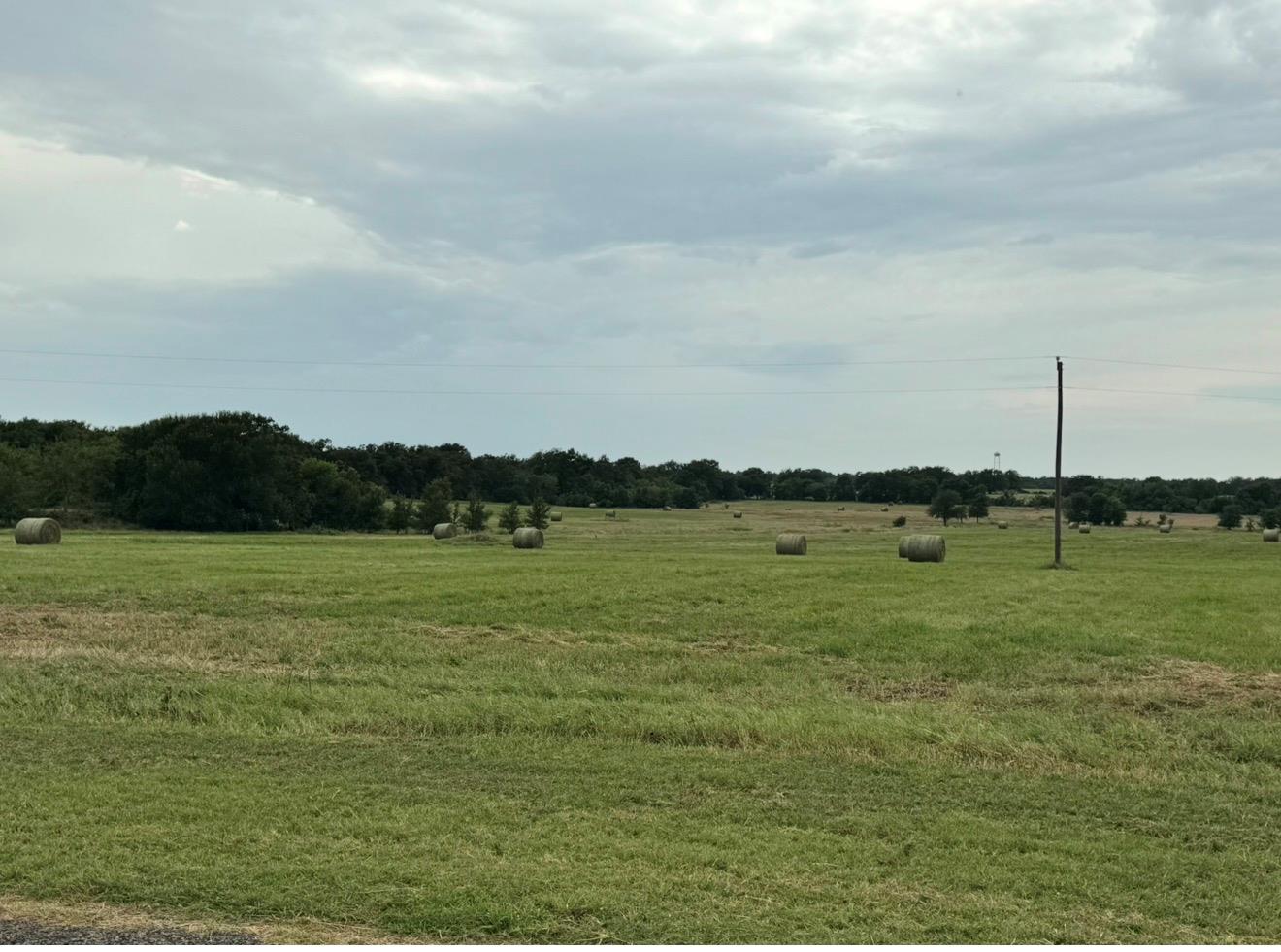 Rolling green pastures extend toward a distant tr