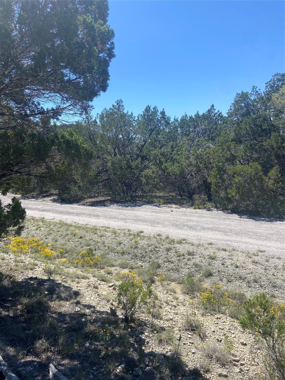 Listing photo 1 of 20702  Appaloosa Trl