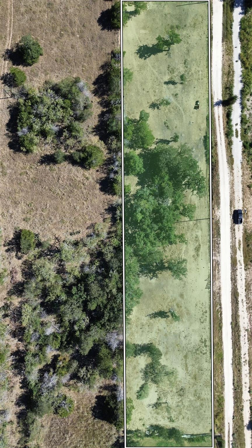 Mature trees and open pasture land define this ex