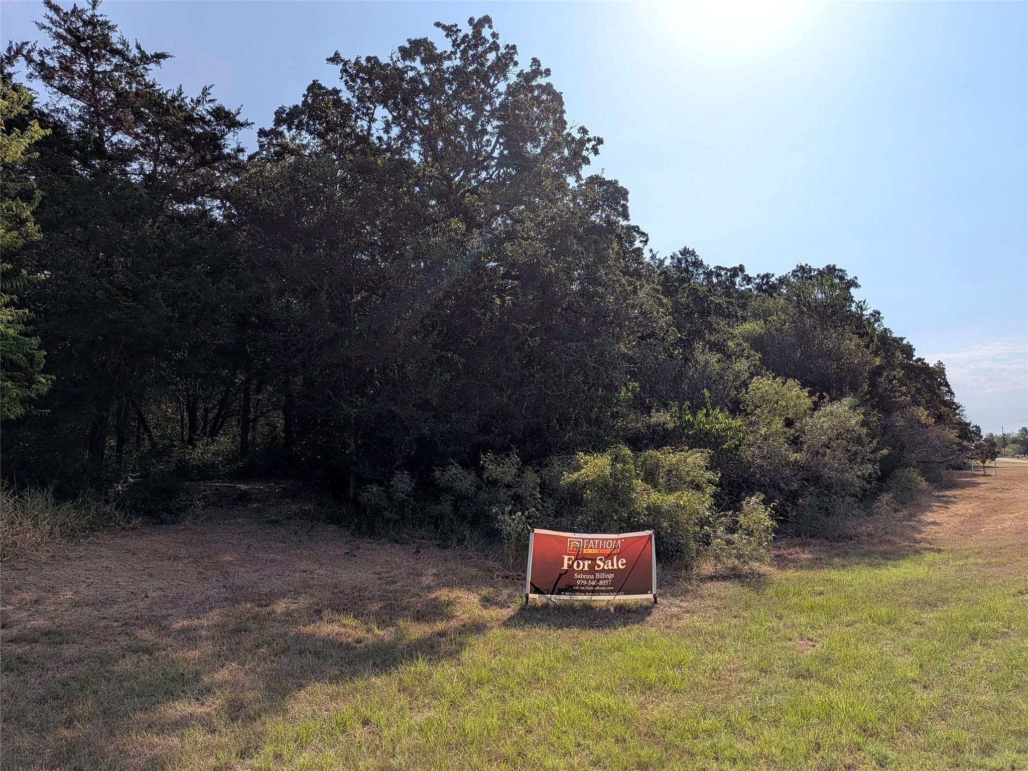 Mature trees frame a grassy clearing under a clea
