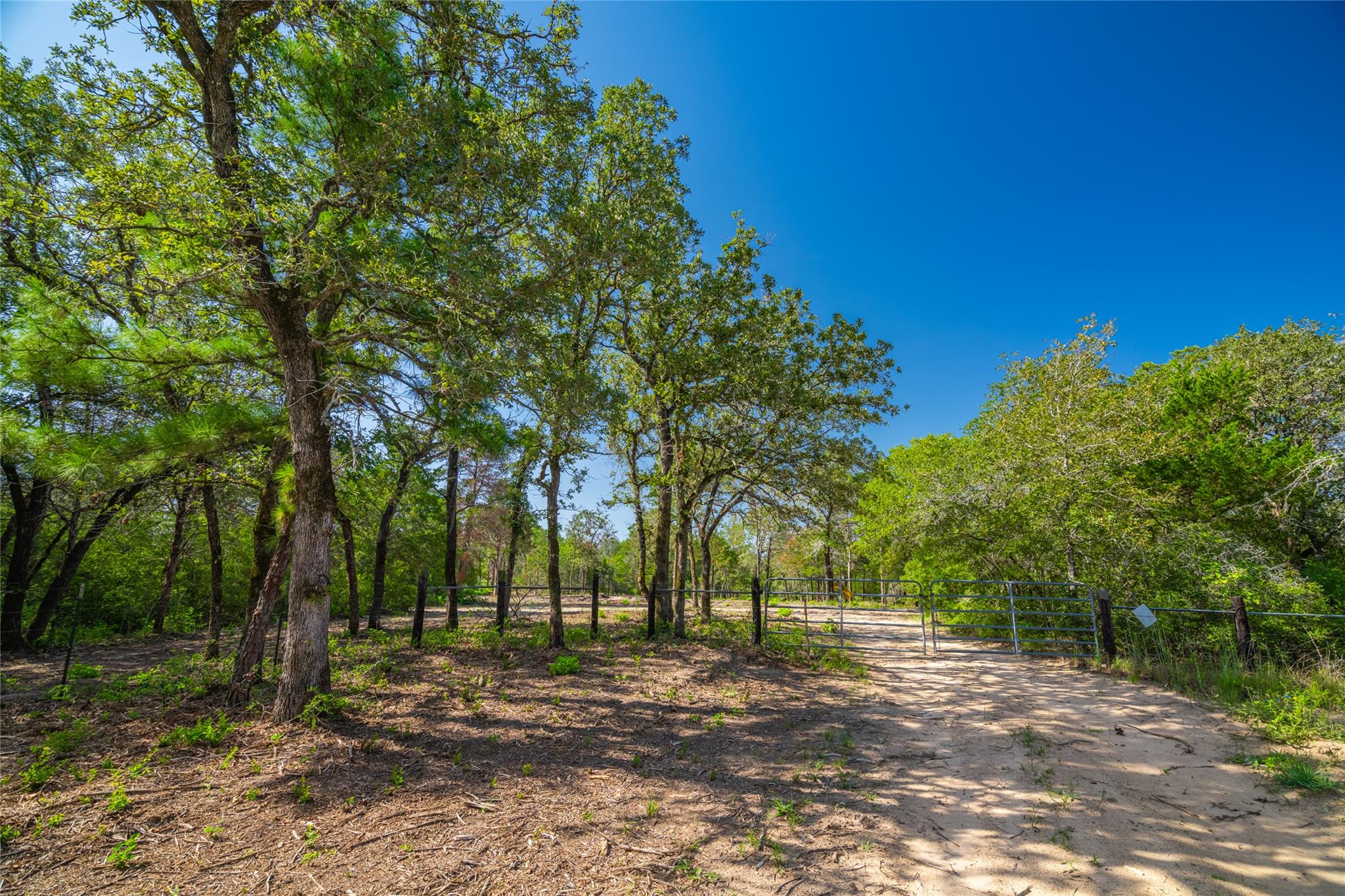 Listing photo 1 of 1247  Sand Hills Road None