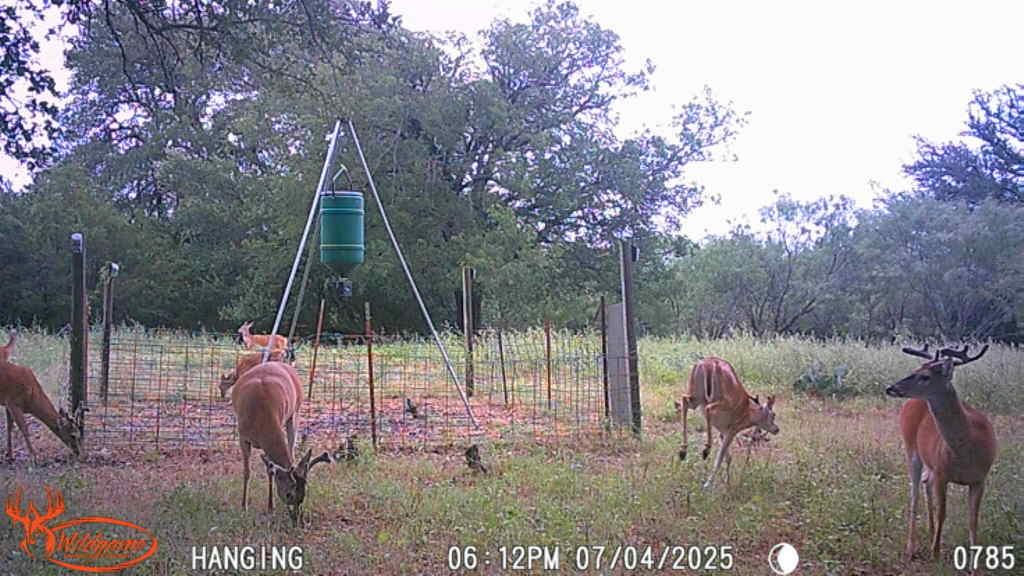 Listing photo 1 of TBD  FM 3023 None