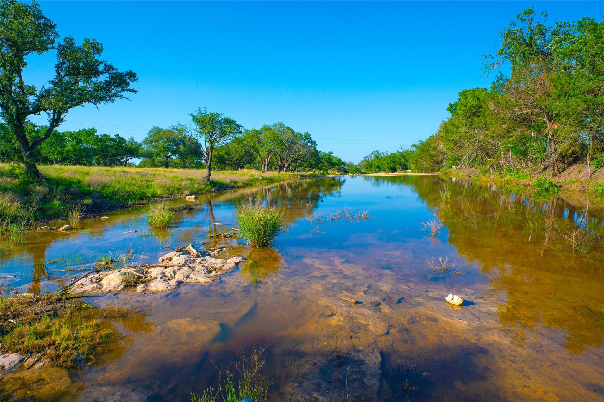 Mature trees frame a quiet creek winding through 