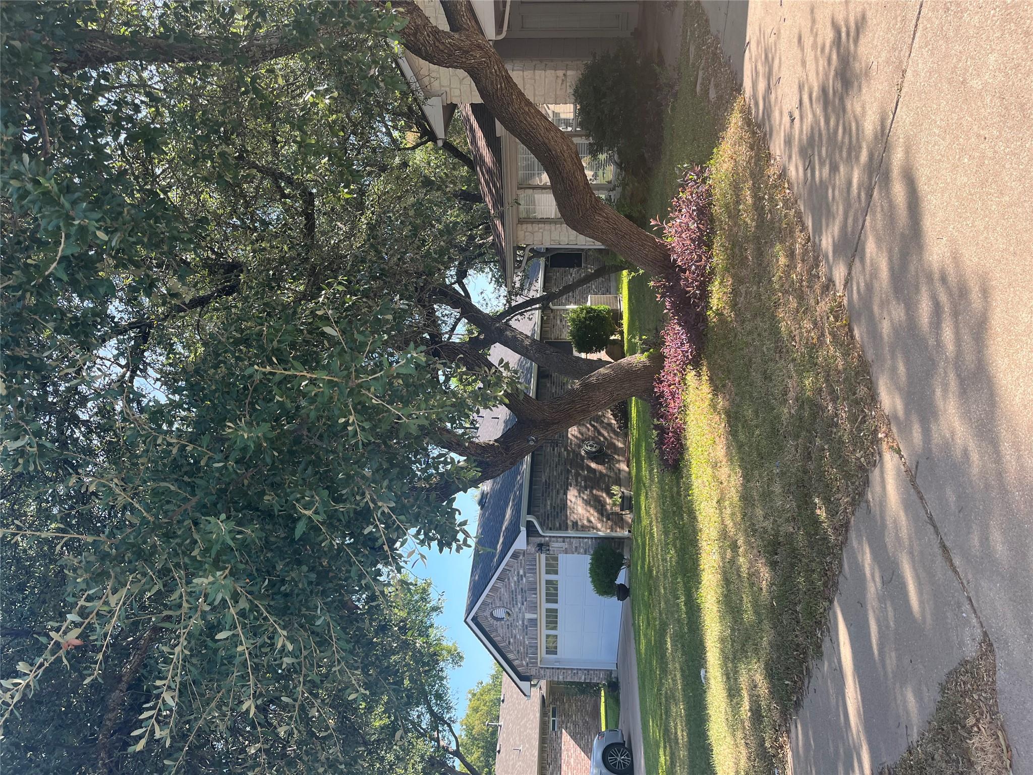 Mature trees shade the concrete driveway and mani