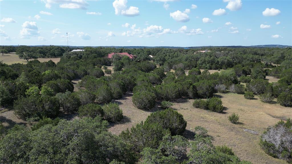 Thick stands of mature trees and grassy clearings