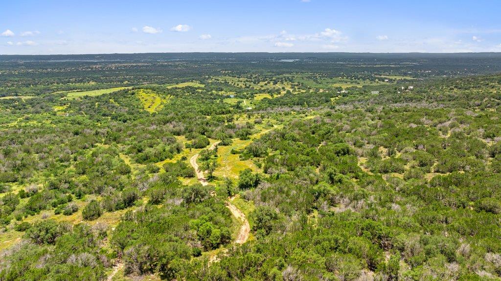 Vast green landscape with winding trails, perfect