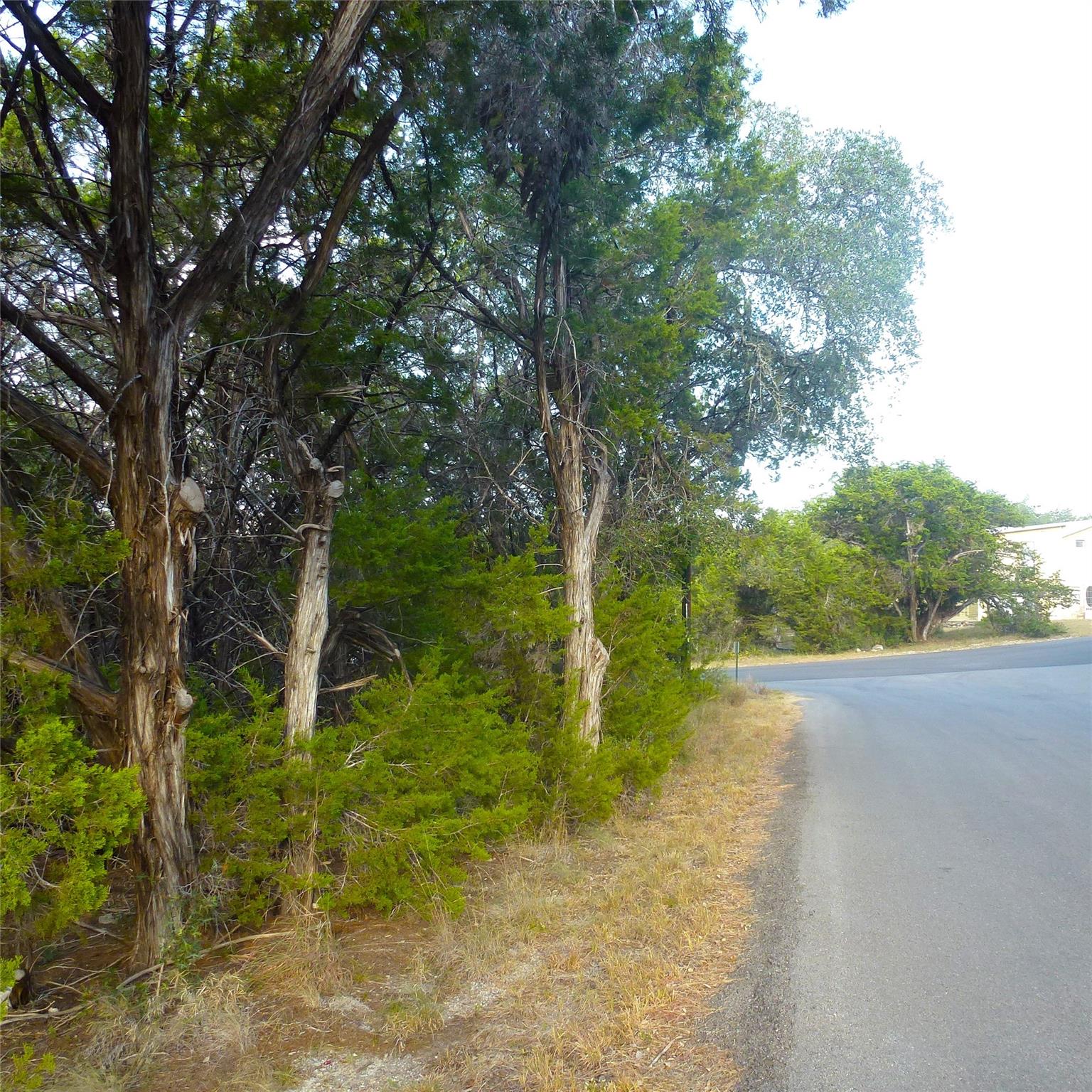 Mature trees frame the gentle curve of a paved st