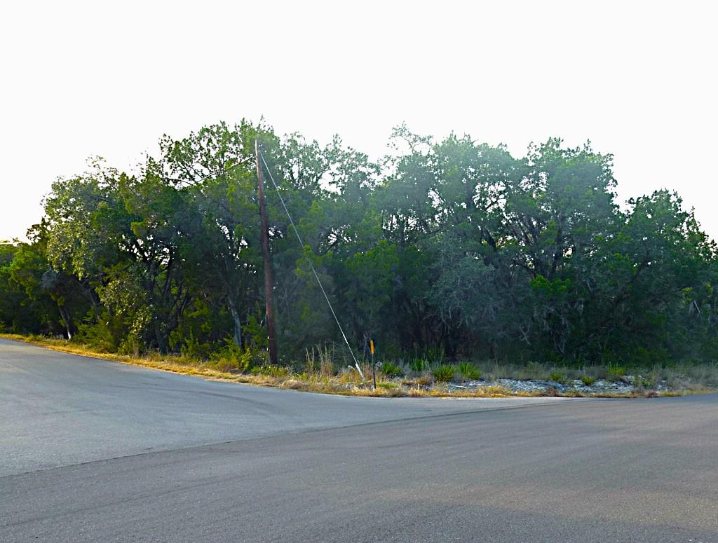 Mature trees frame the corner of this buildable h