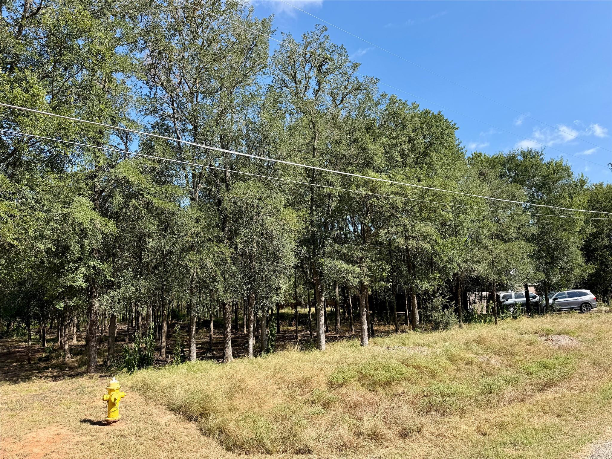 Listing photo 1 of 208  Waipahoehoe Dr