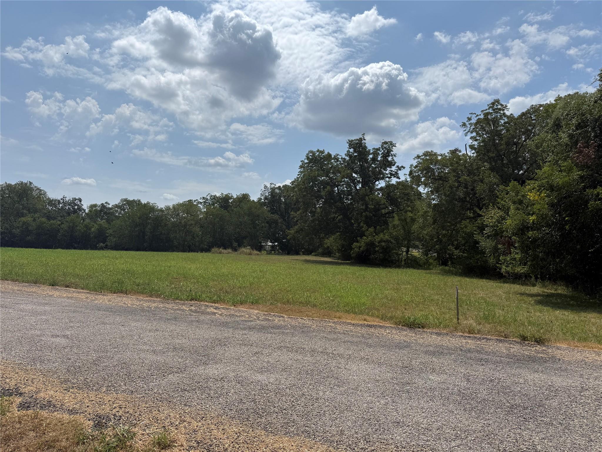Mature trees frame a wide open meadow bordering a