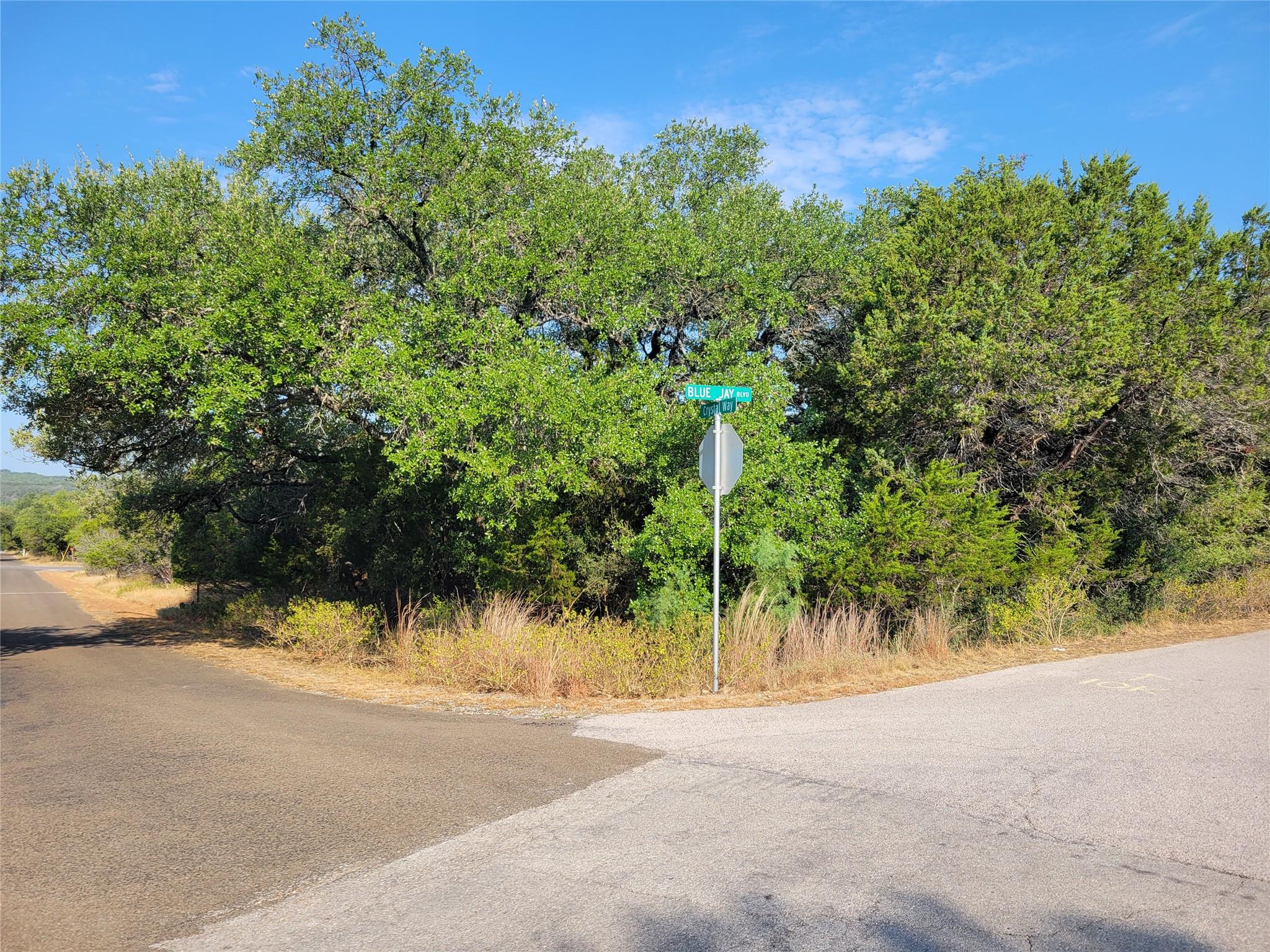 A corner lot is surrounded by mature trees along 