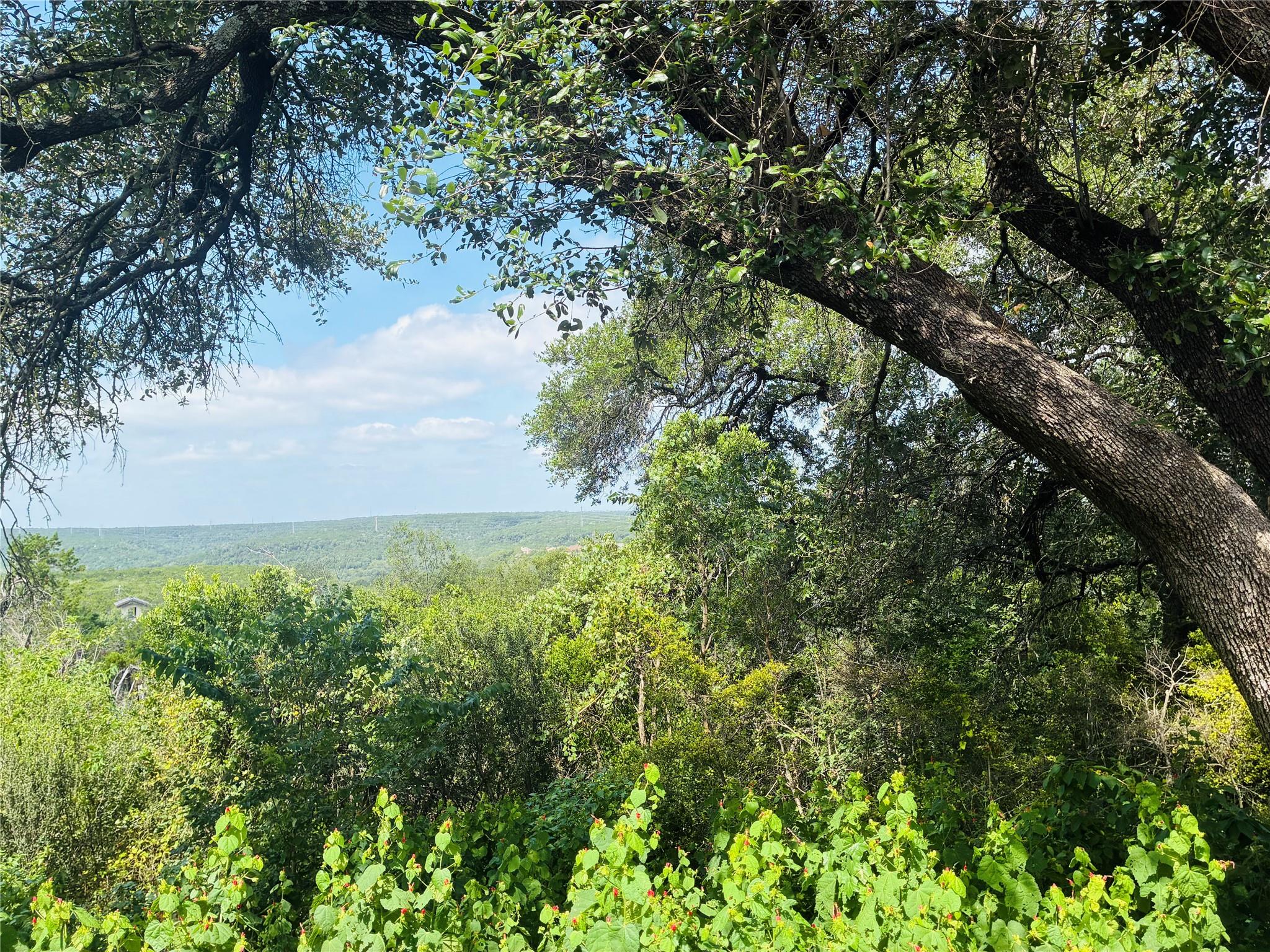 Mature oak trees frame a sweeping overlook of rol