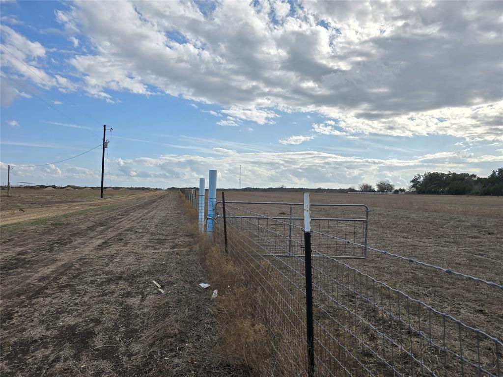 A fenced pasture borders a long dirt road under w