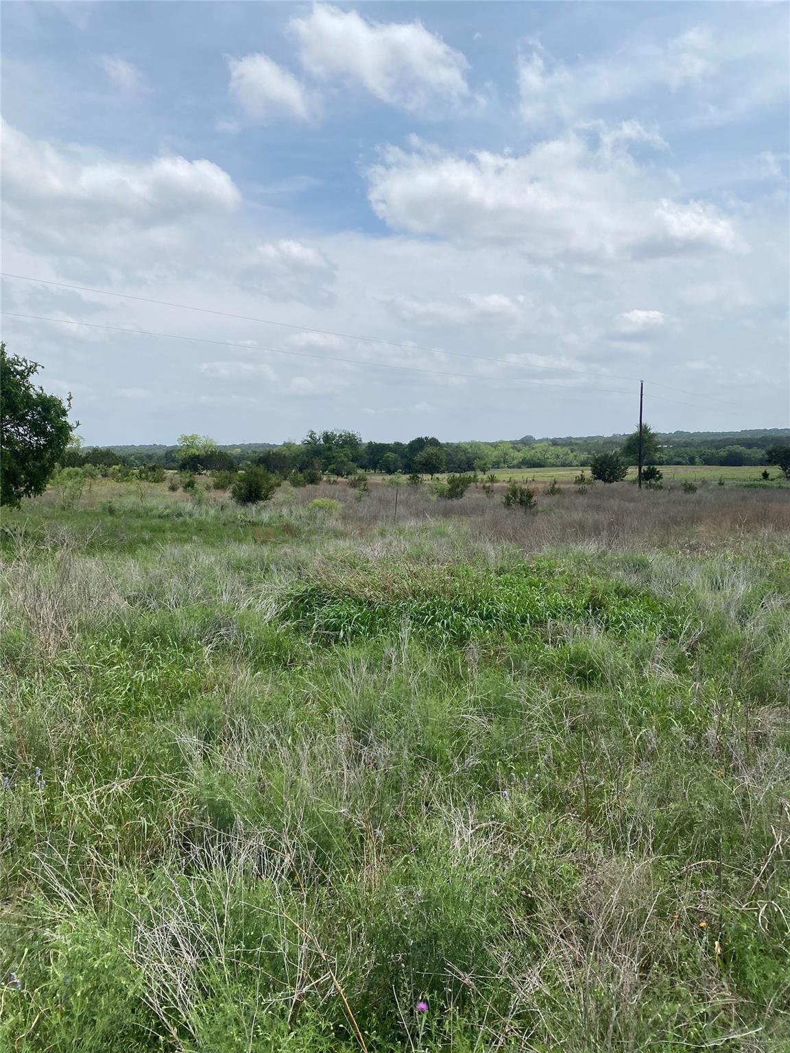 Rolling green pastures and mature trees stretch a