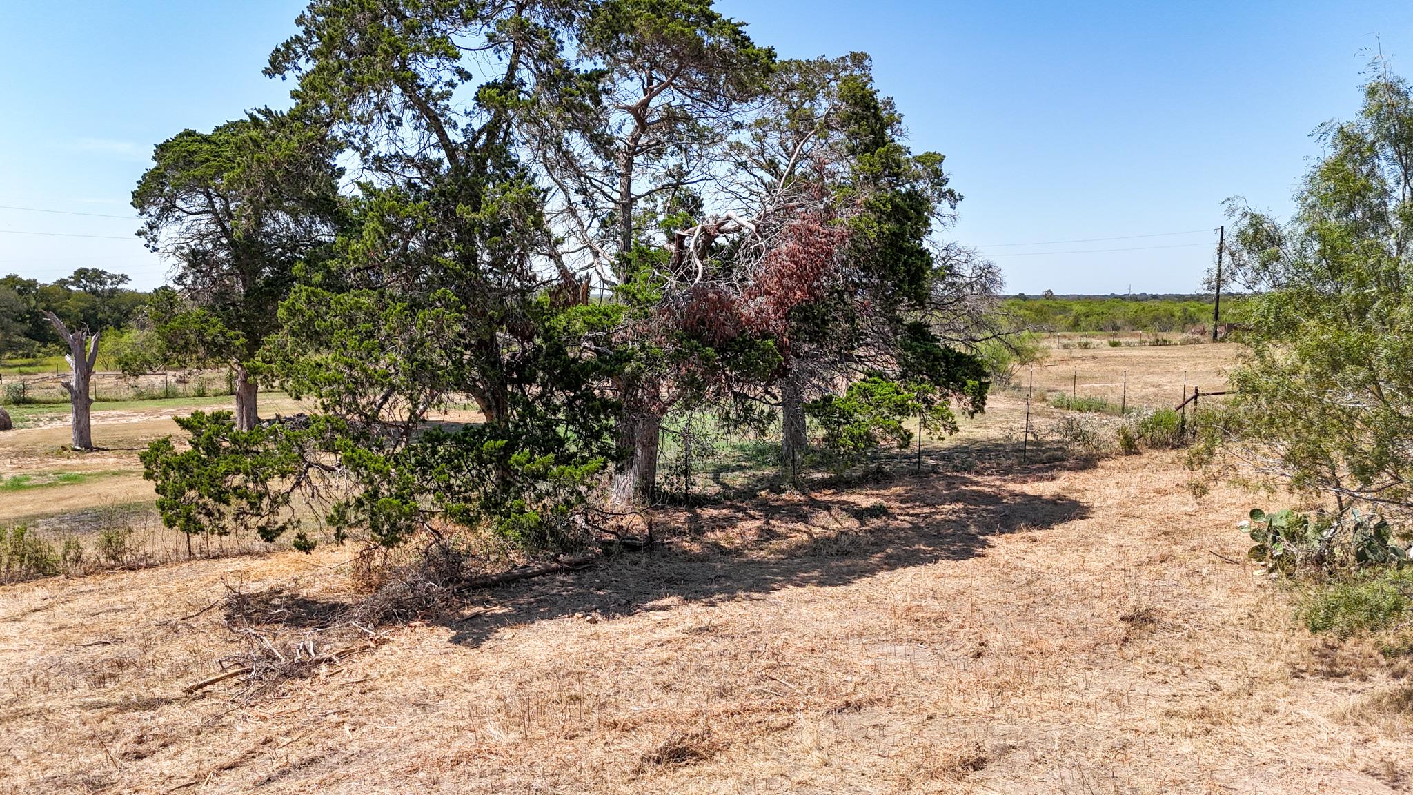 Mature trees dot this sprawling acreage under a c