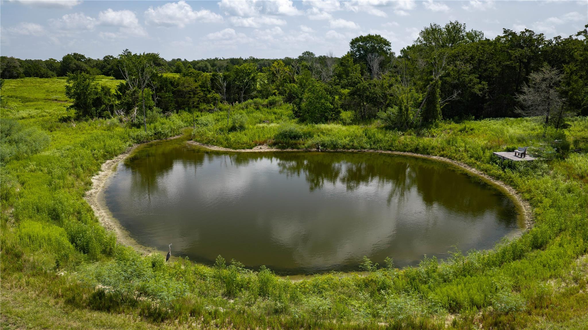 A tranquil private pond is surrounded by dense ma
