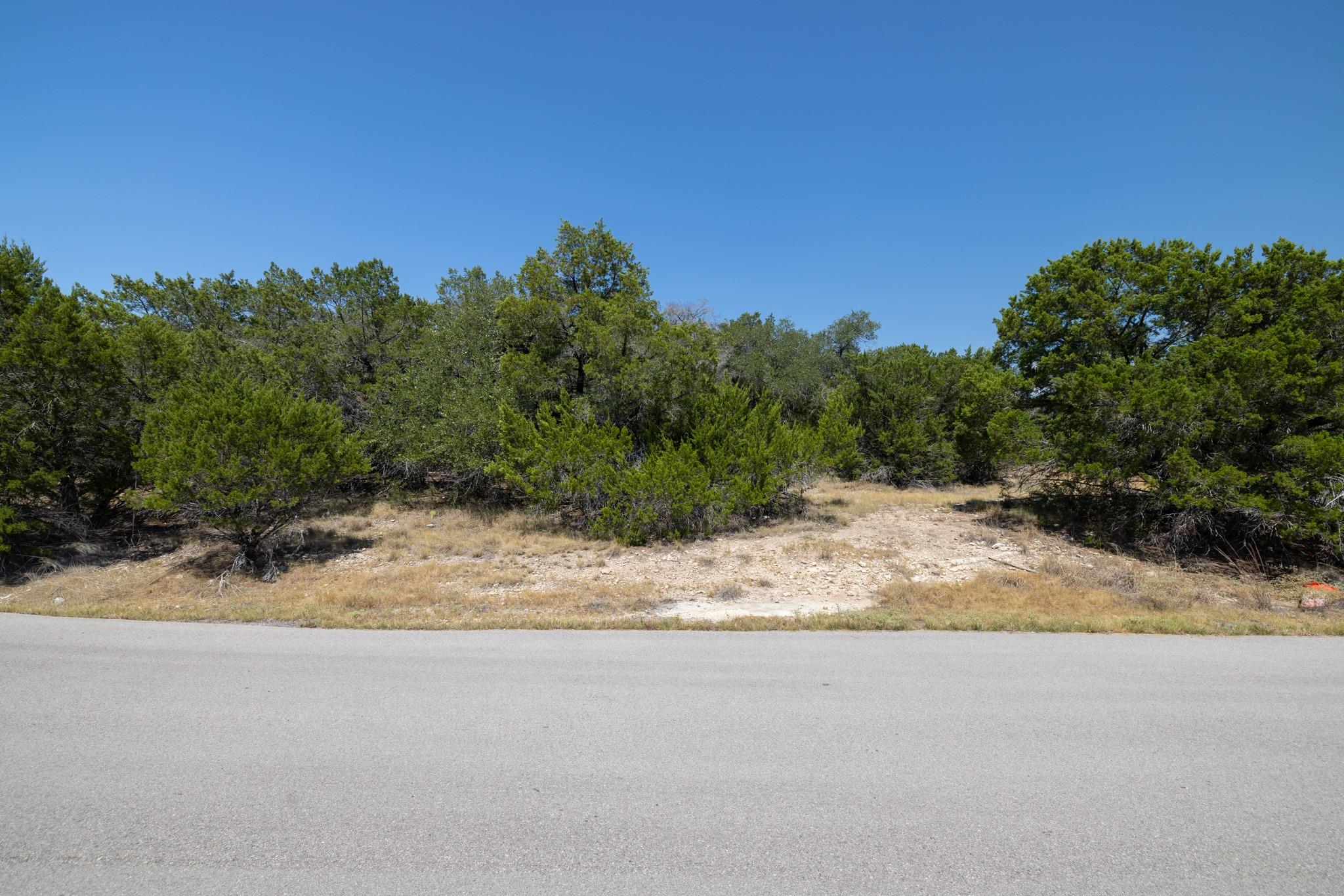 Mature trees frame a gently sloping building site
