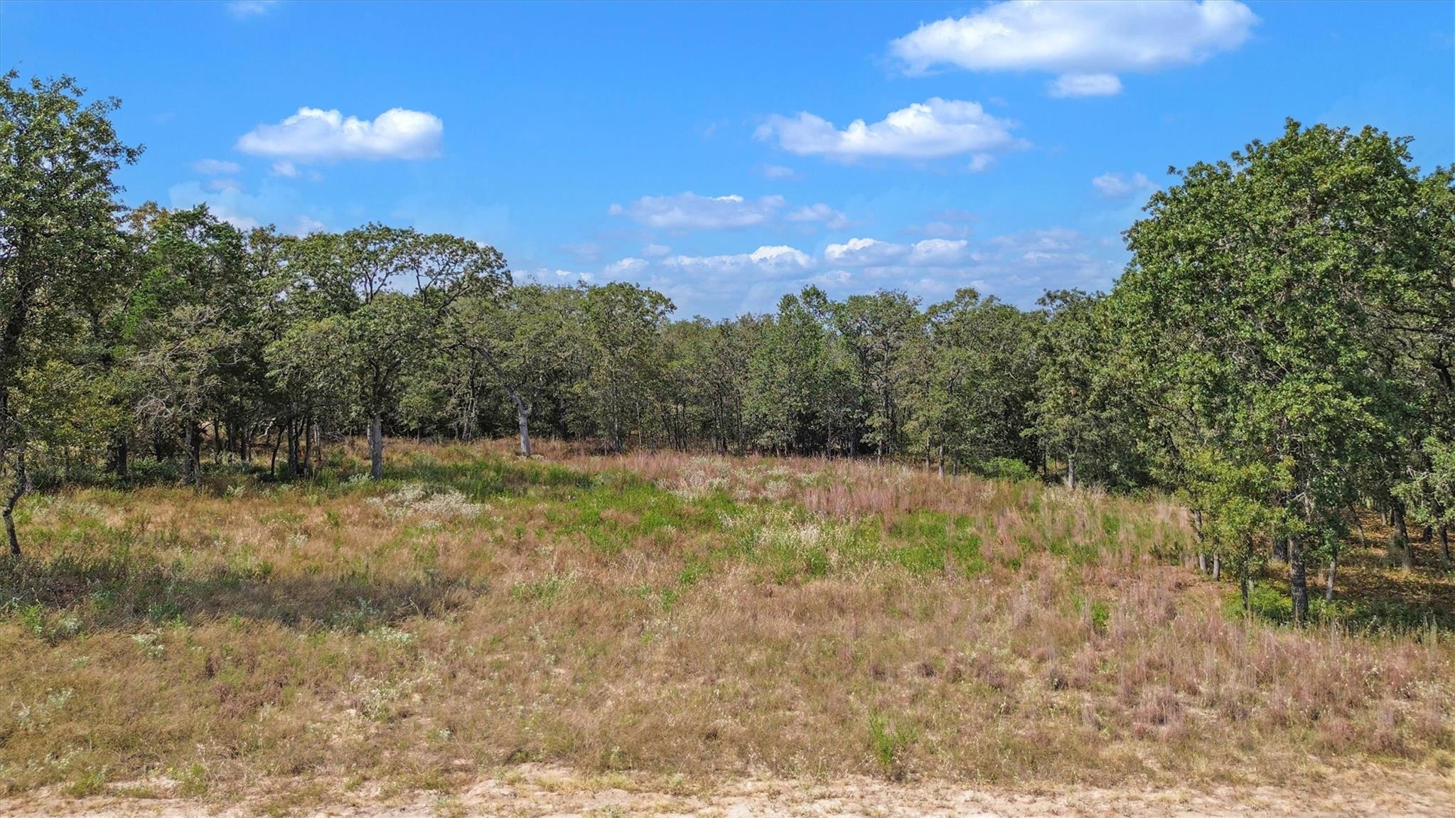 Mature trees frame a sprawling grassy clearing un
