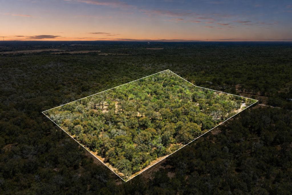 Dense woodlands blanket this expansive parcel of 
