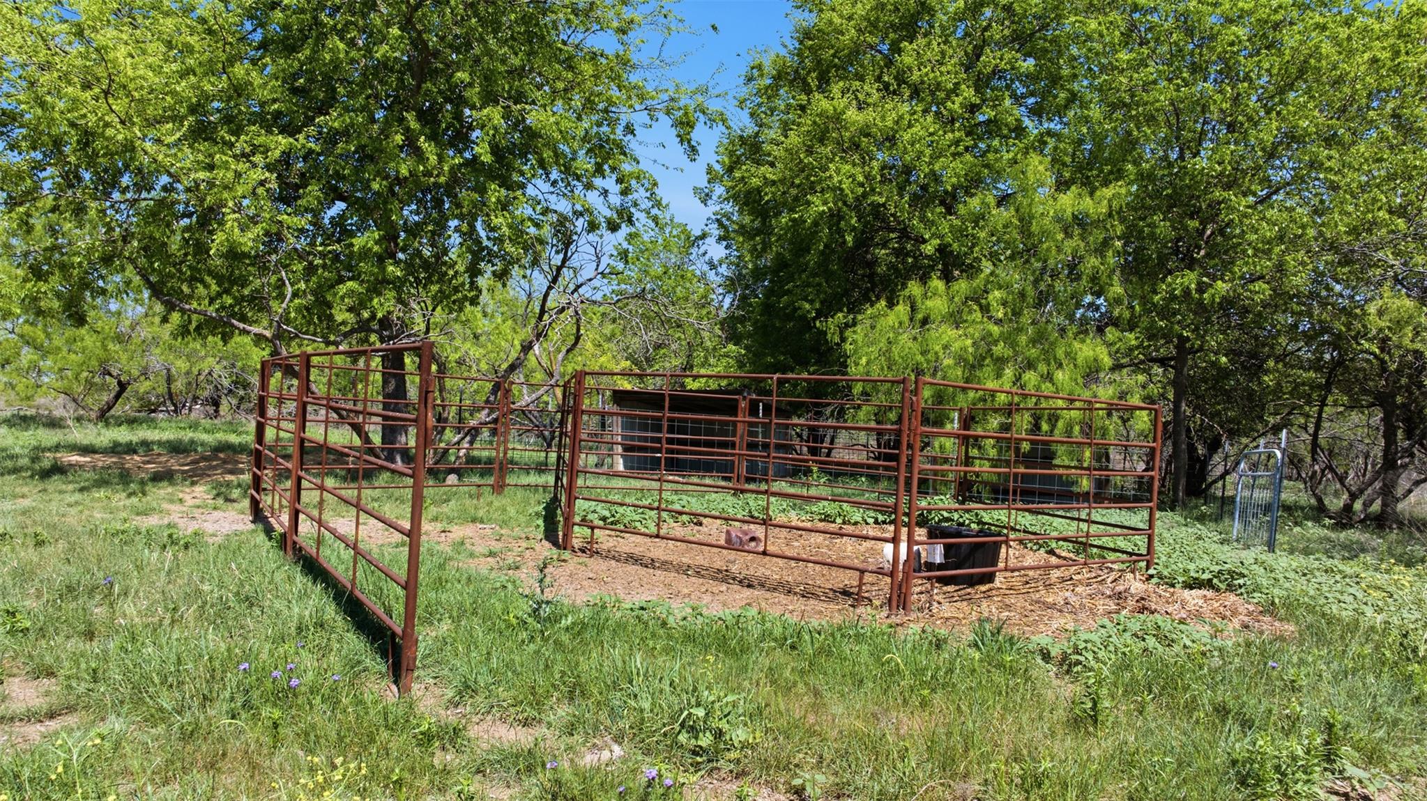 Mature trees frame a functional metal corral nest