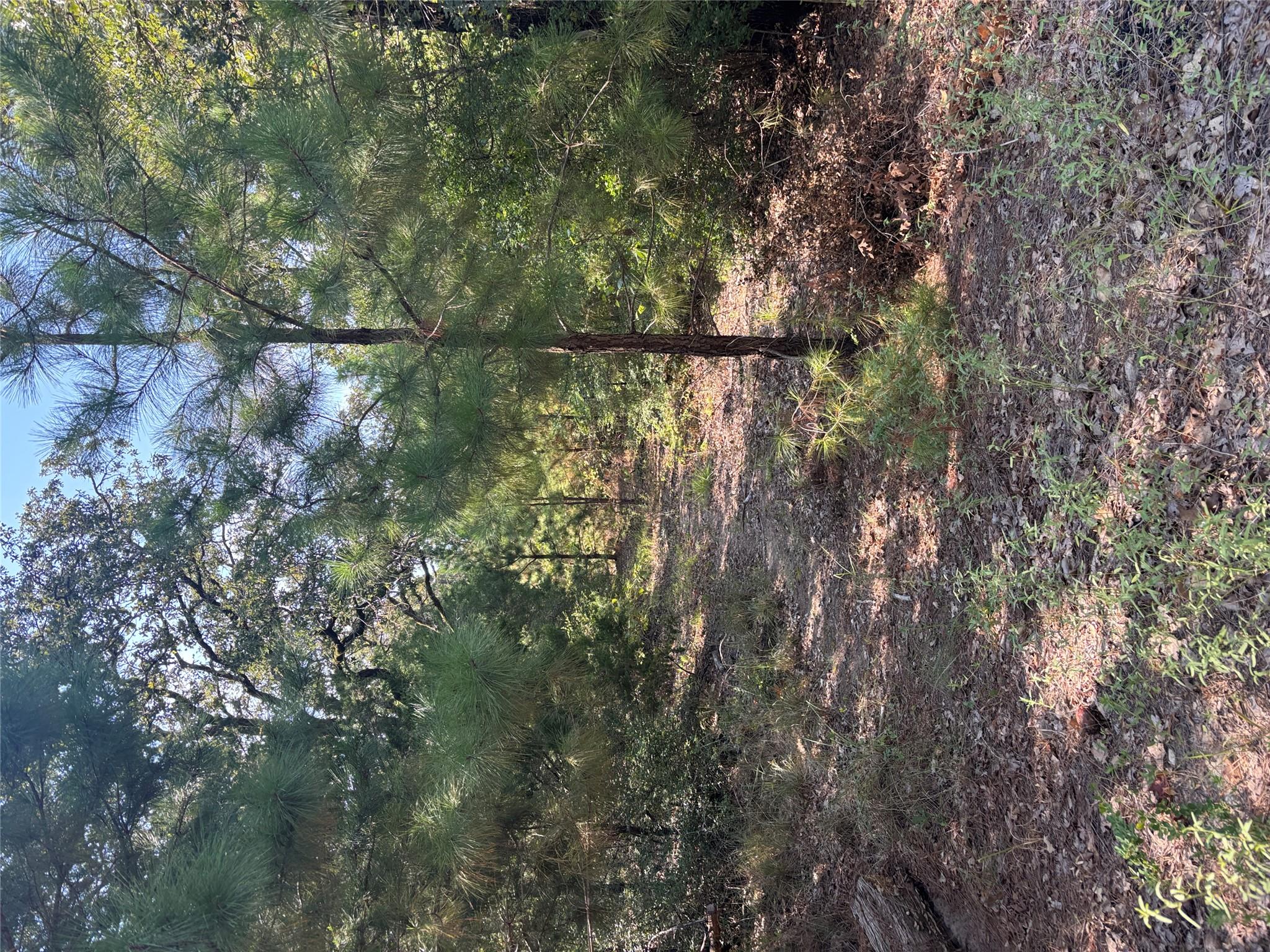 Listing photo 1 of 667  Paint Creek South Rd