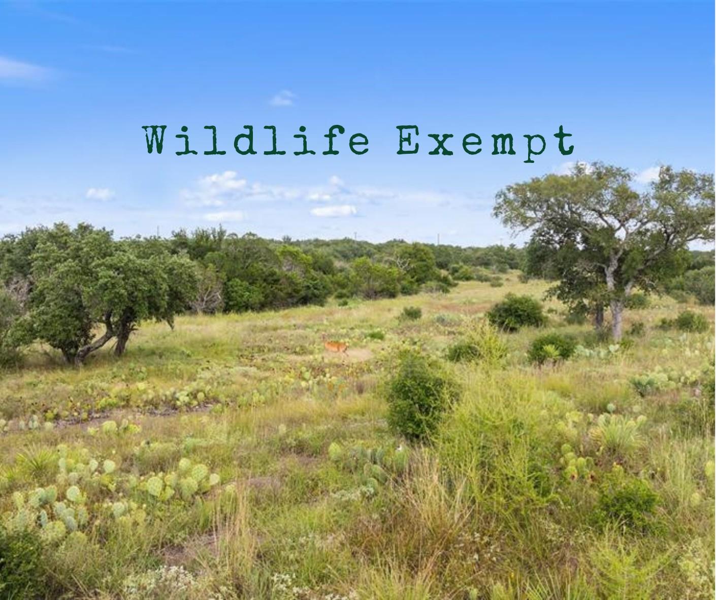 Listing photo 1 of TBD W RR 962 None