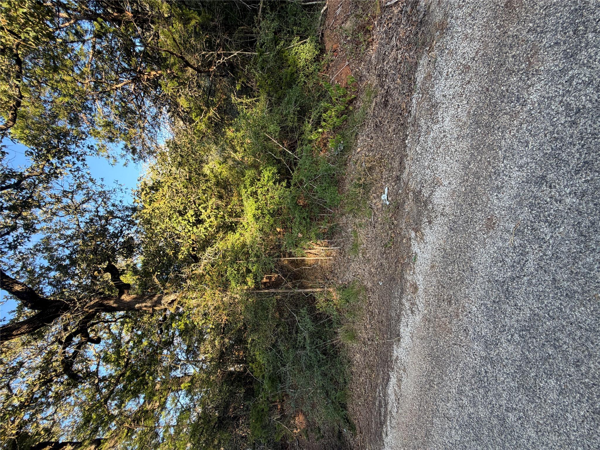 Mature trees frame the property edge, offering na