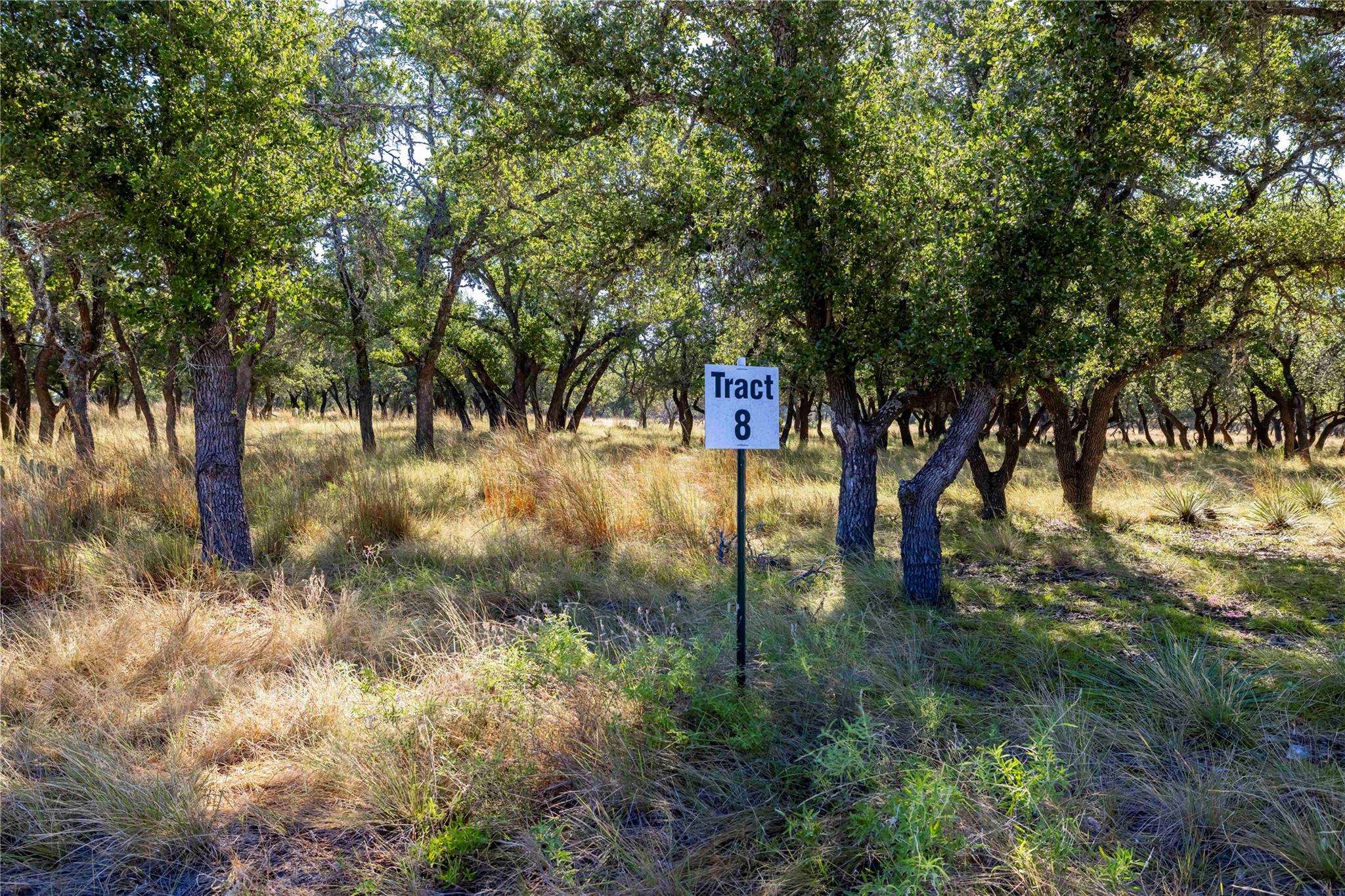 Mature trees shade a quiet, natural landscape on 