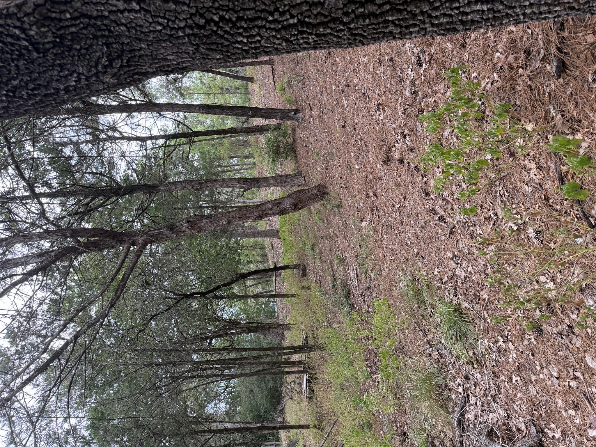 Listing photo 1 of Multiple Lots  Aka Ct