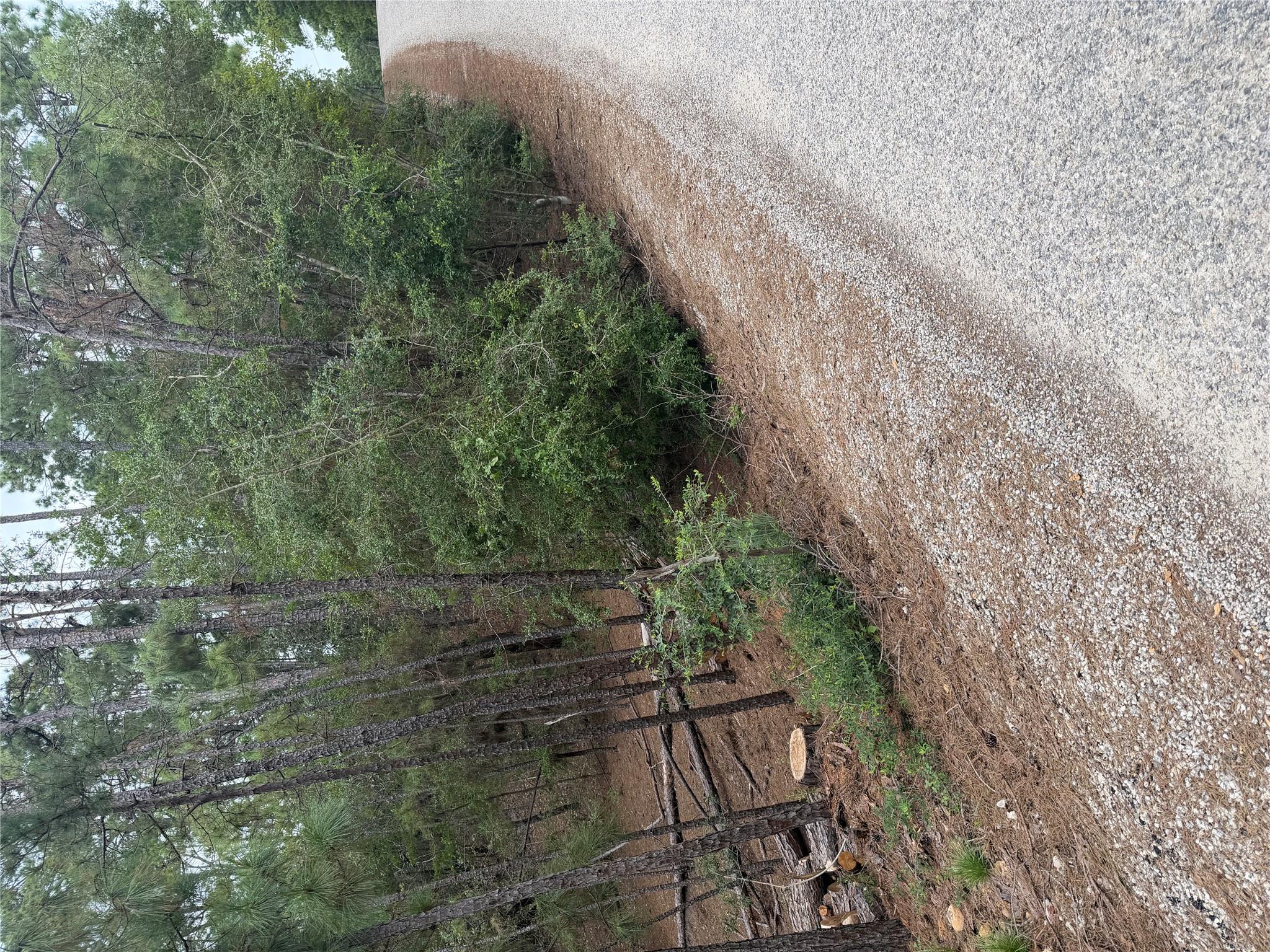 Mature trees line the gravel road bordering this 
