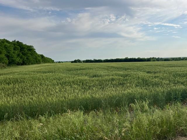Mature trees frame a sweeping green pasture under
