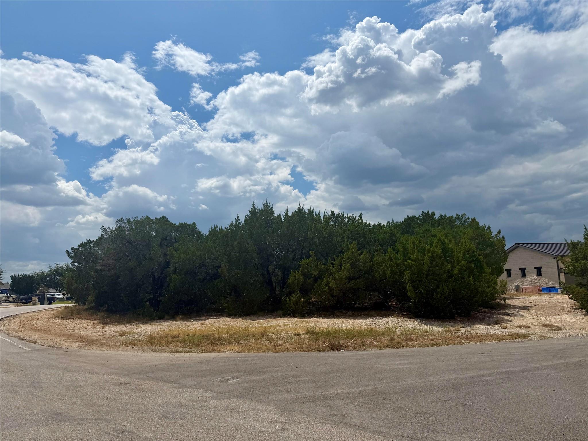 A quiet street curves gently past a wooded lot be