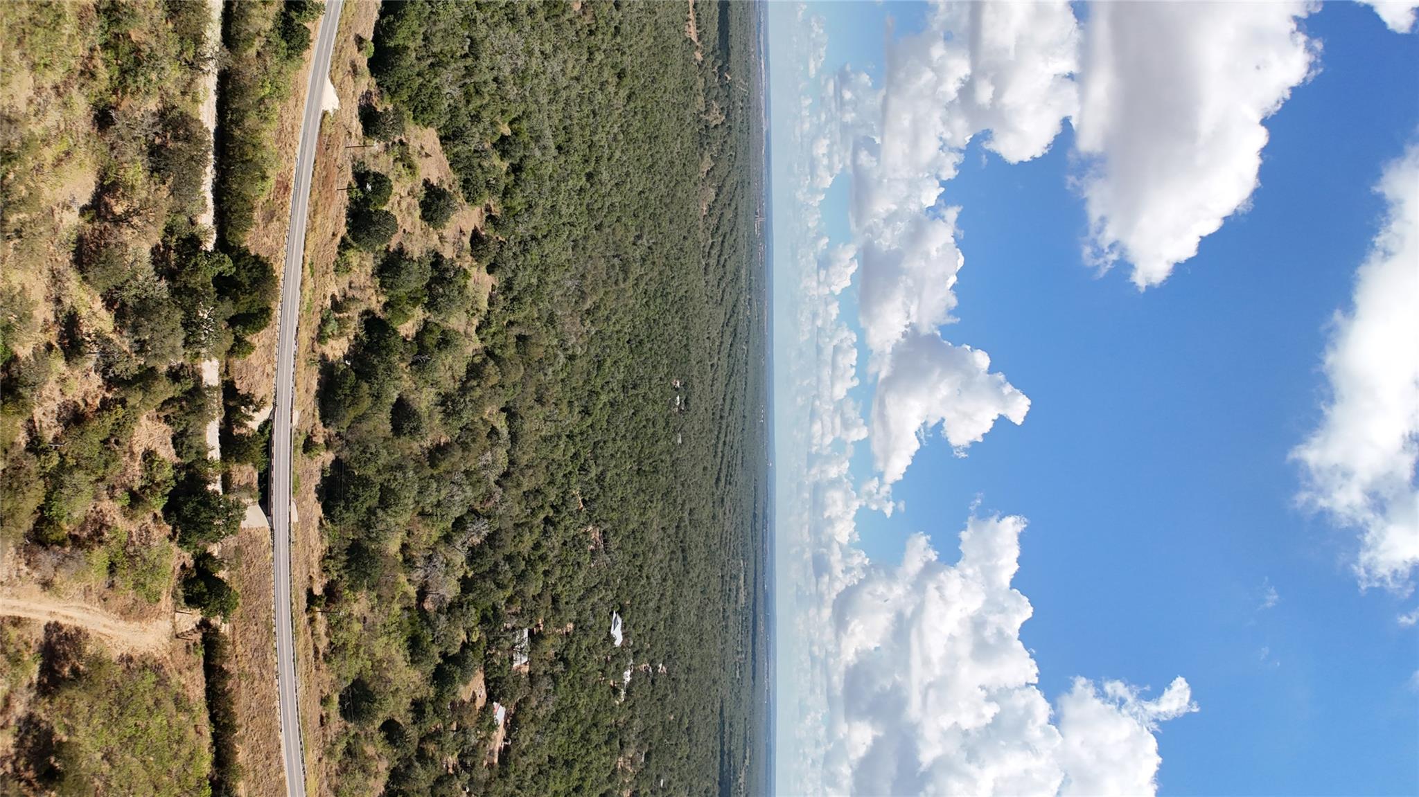 A vast green canopy stretches toward the horizon 