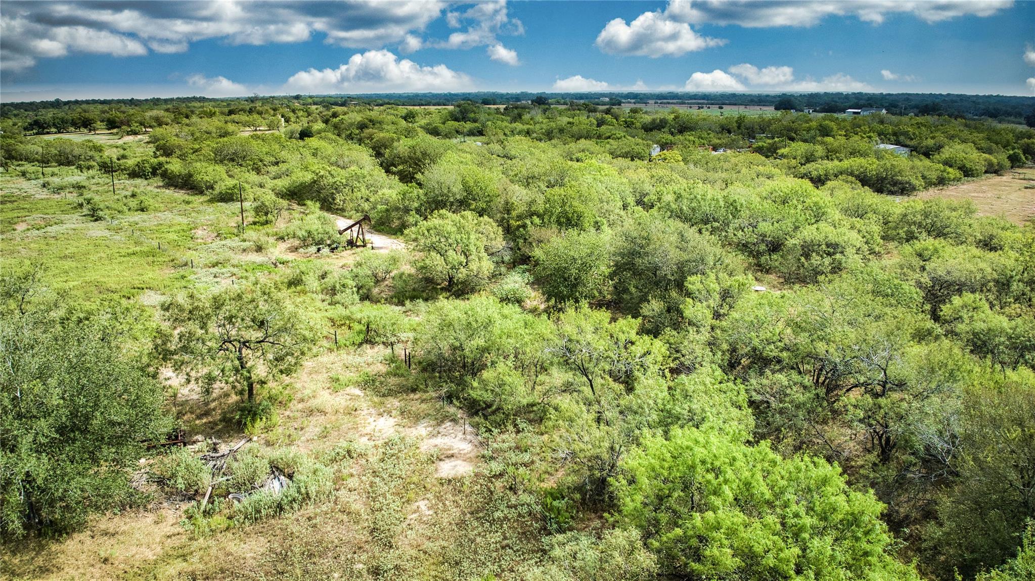 Mature trees and open green spaces define this sc