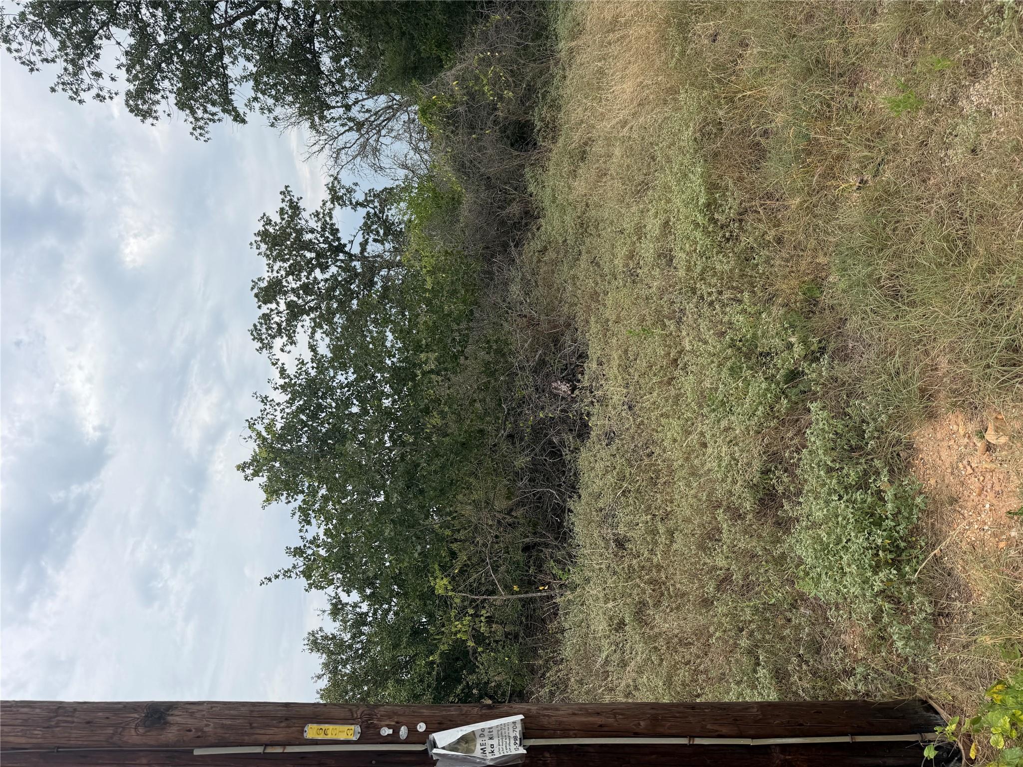 Mature trees and native groundcover define this o