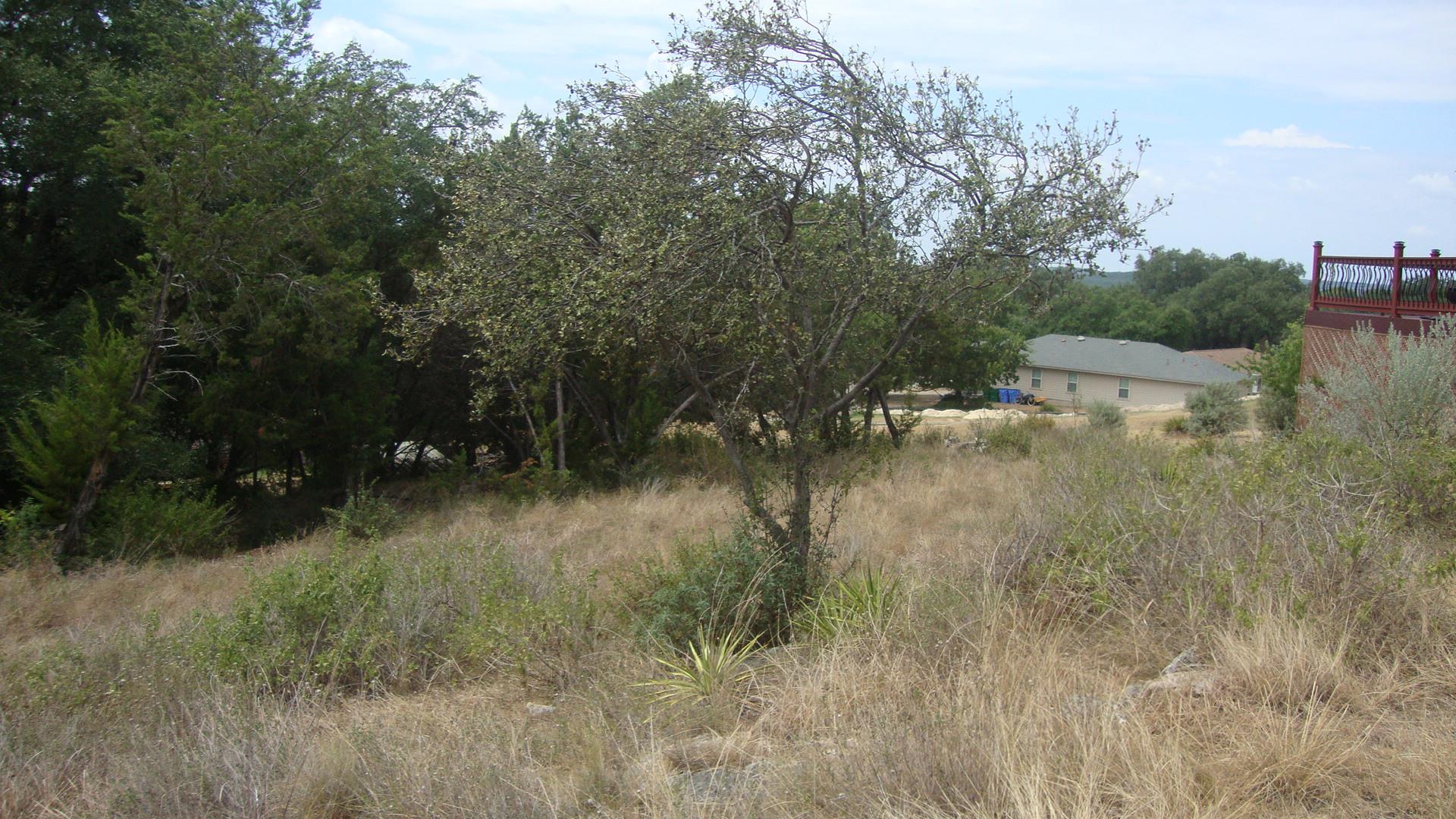 Mature trees and native grasses dot this gently s
