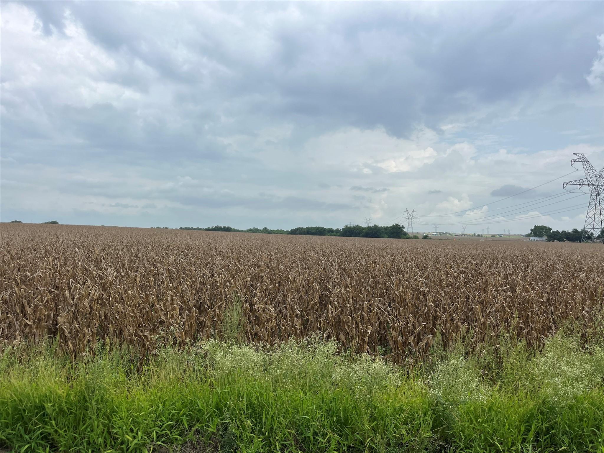 A vast agricultural field stretches toward a dist