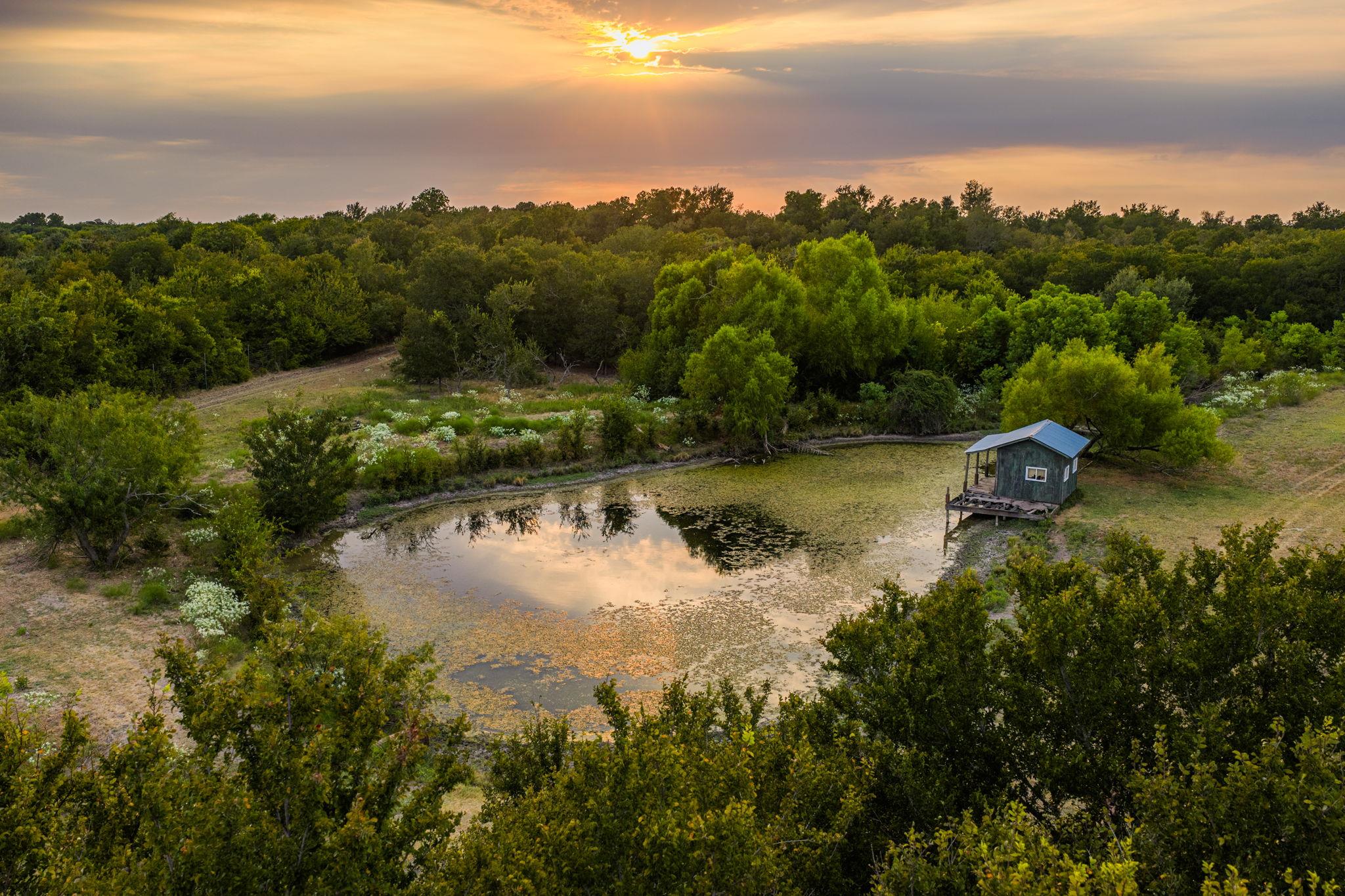 A tranquil pond reflecting the sky is surrounded 