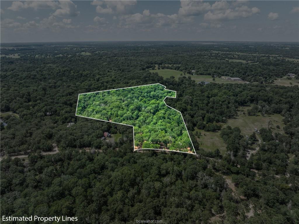 Mature trees blanket this expansive rural acreage