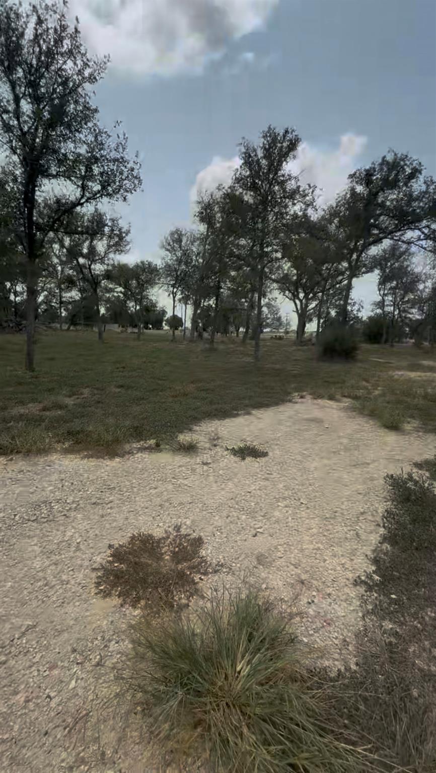 Mature trees dot this sprawling acreage under a p