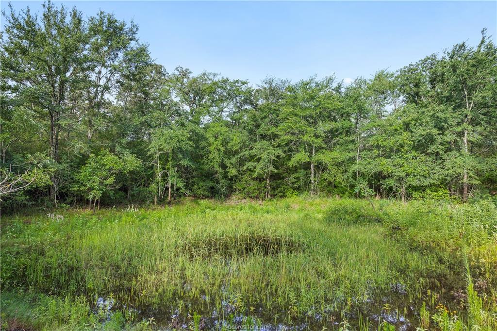 Mature trees frame a quiet pond on this expansive