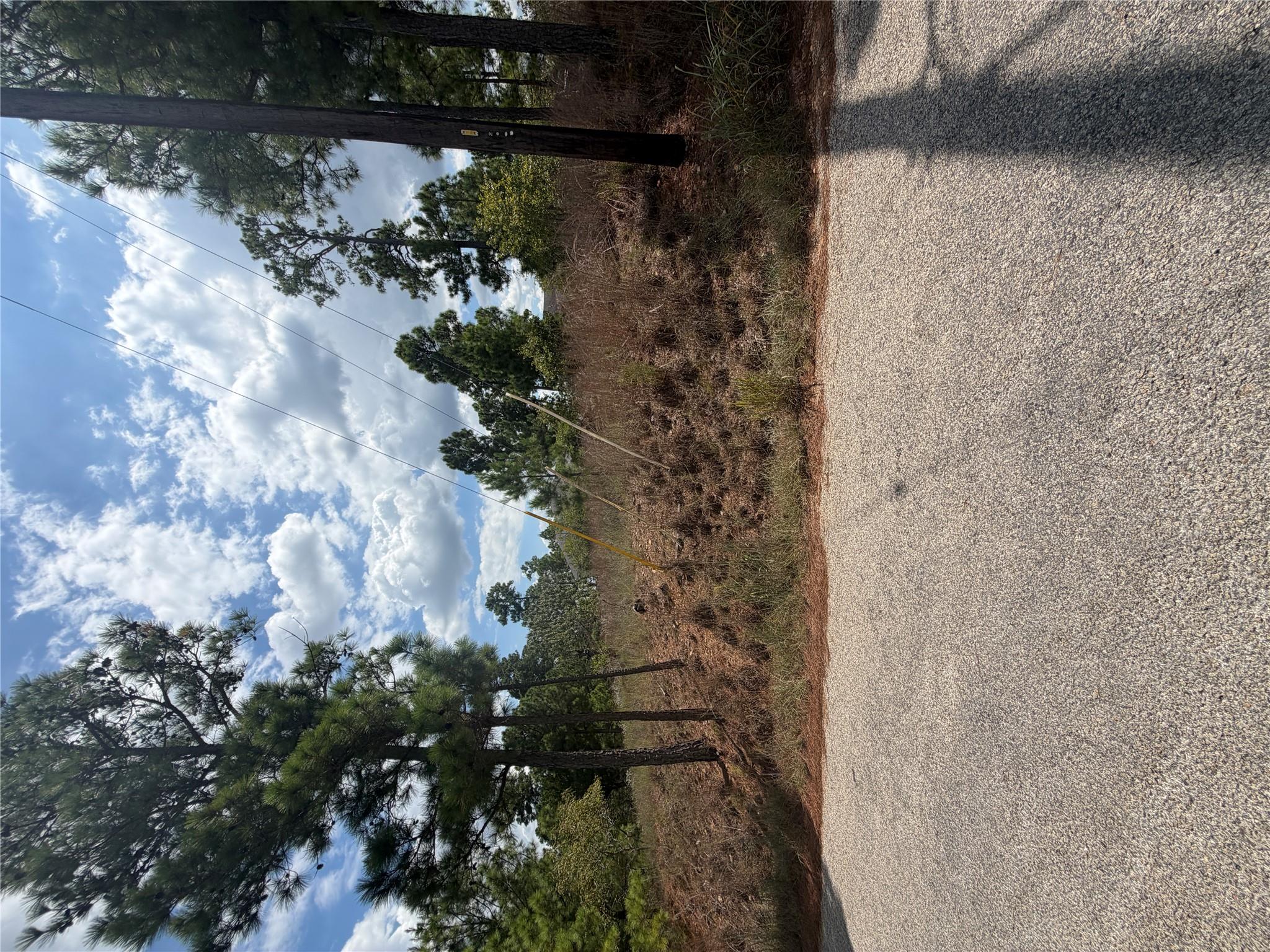 Mature trees frame a gently sloping building site
