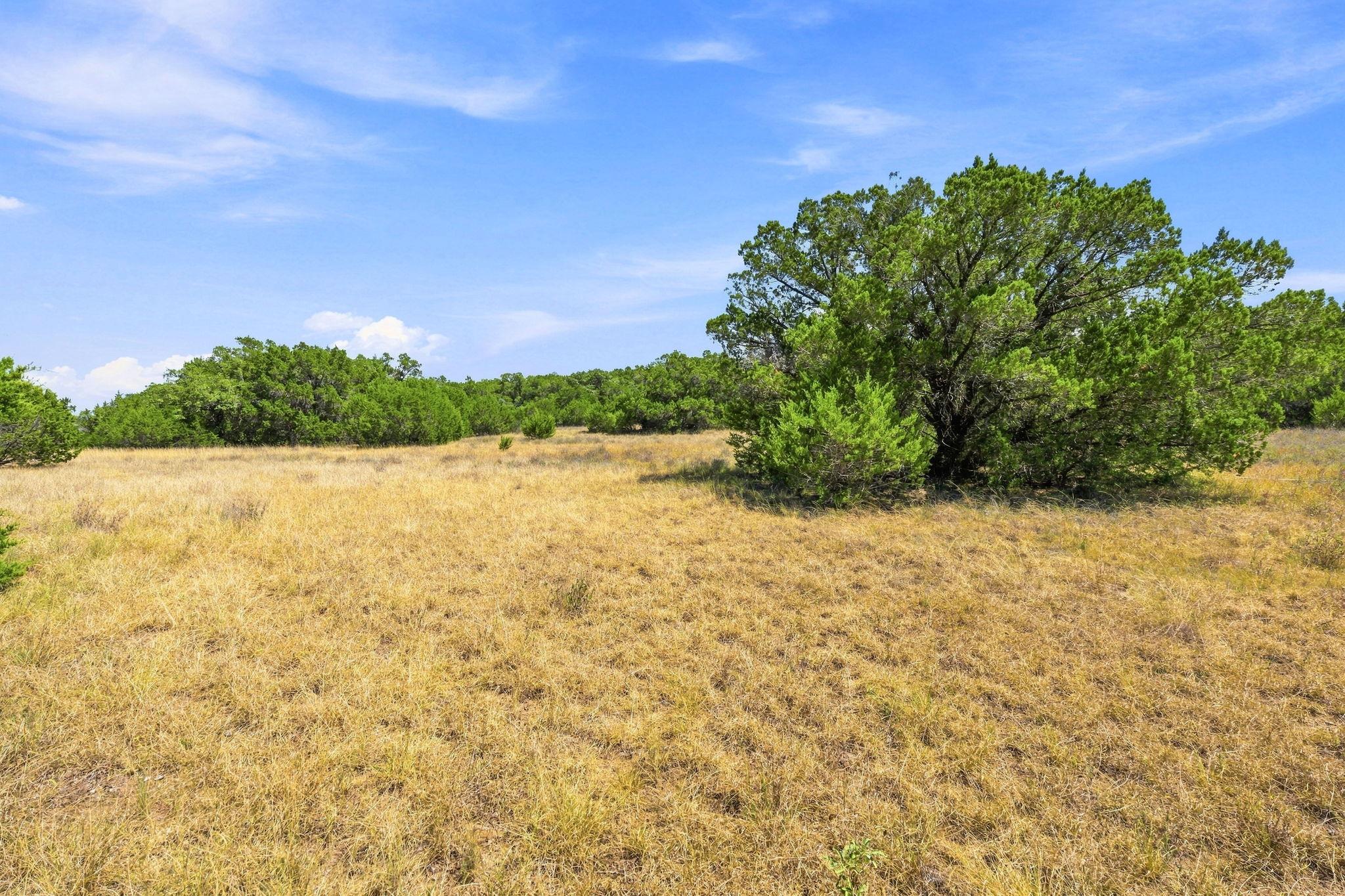 Mature trees dot the open pasture of this serene 