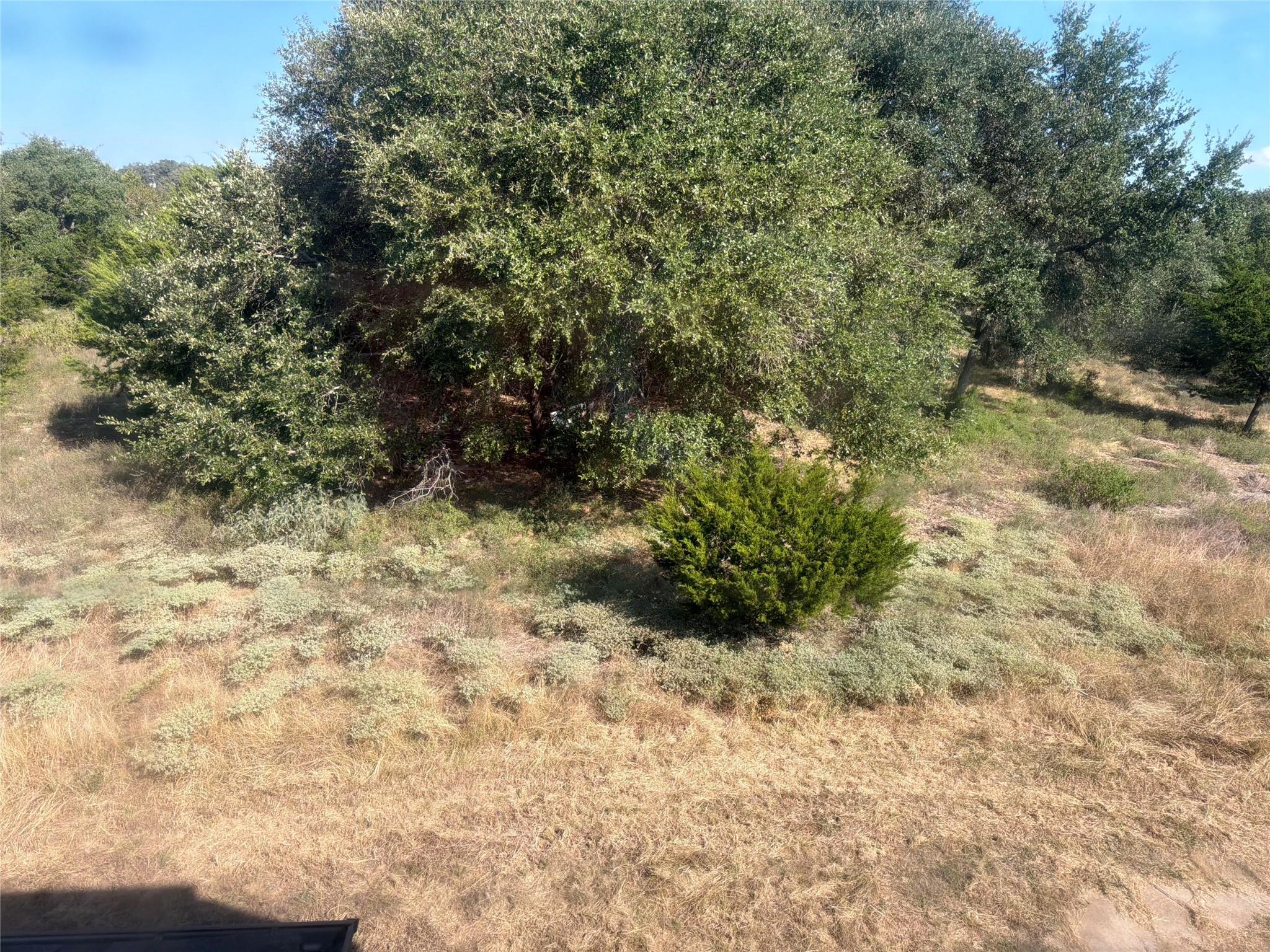 Mature trees and native vegetation define this se
